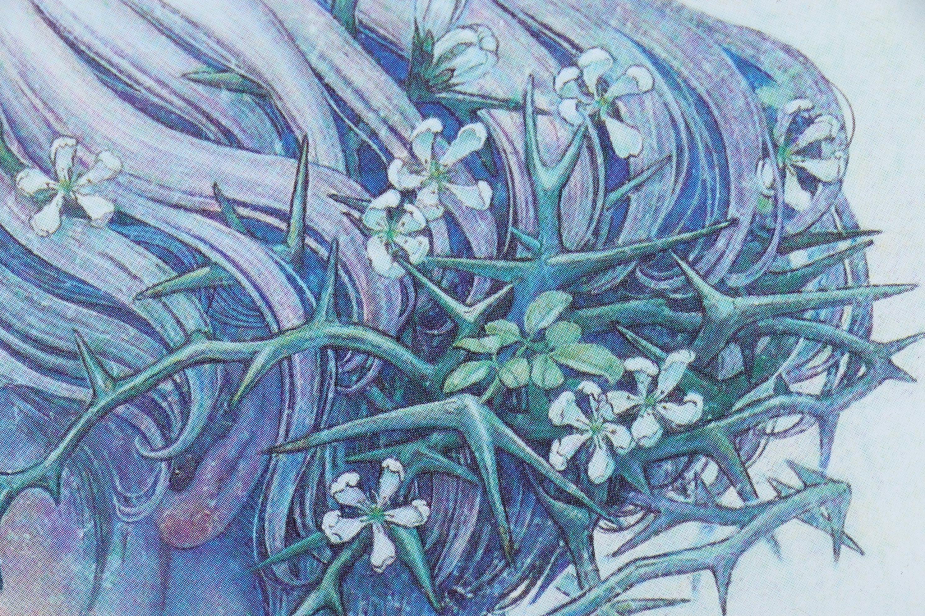 Miho Hirano Offset Lithograph "Self Possessed" From "The Beauties of Nature"