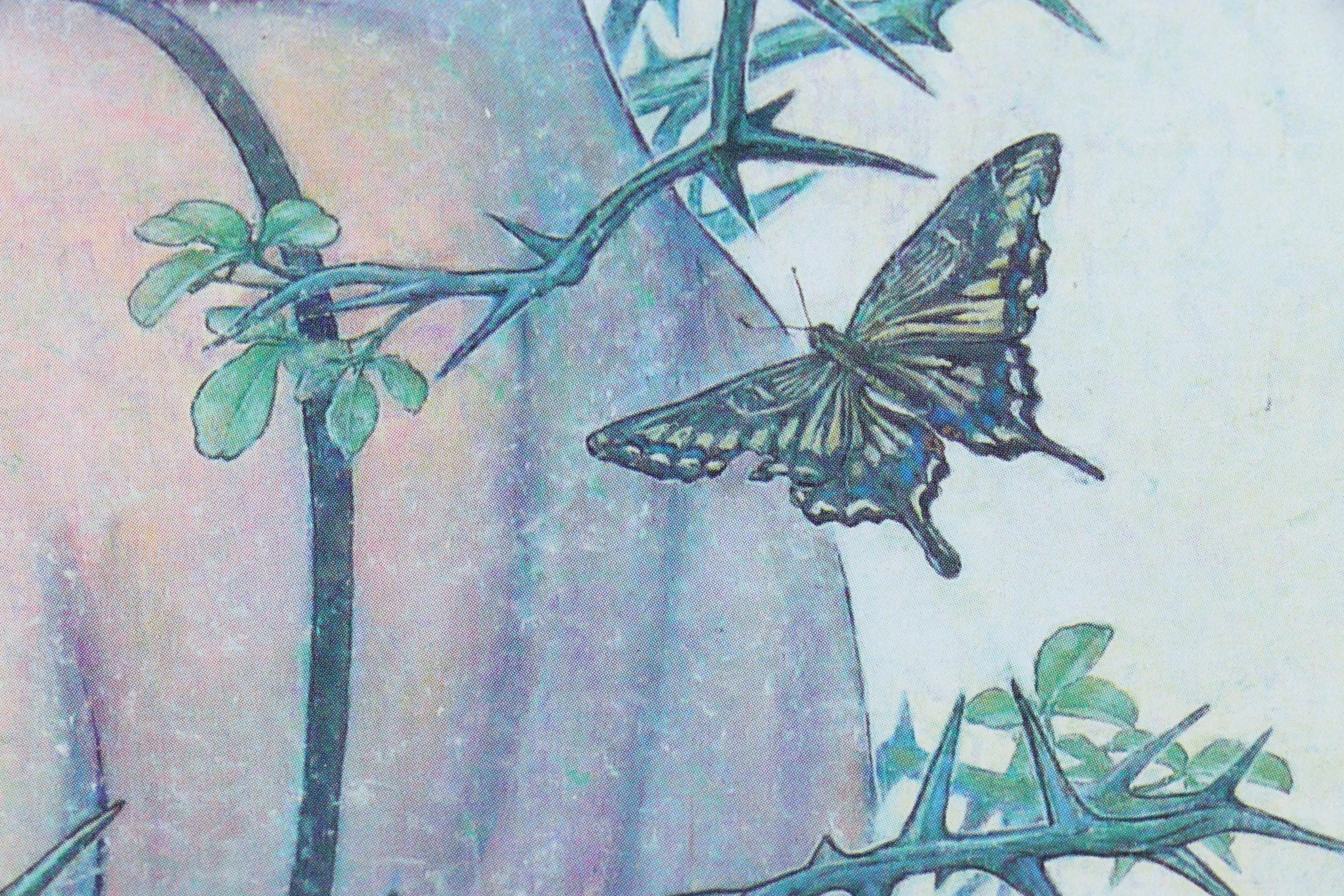 Miho Hirano Offset Lithograph "Self Possessed" From "The Beauties of Nature"