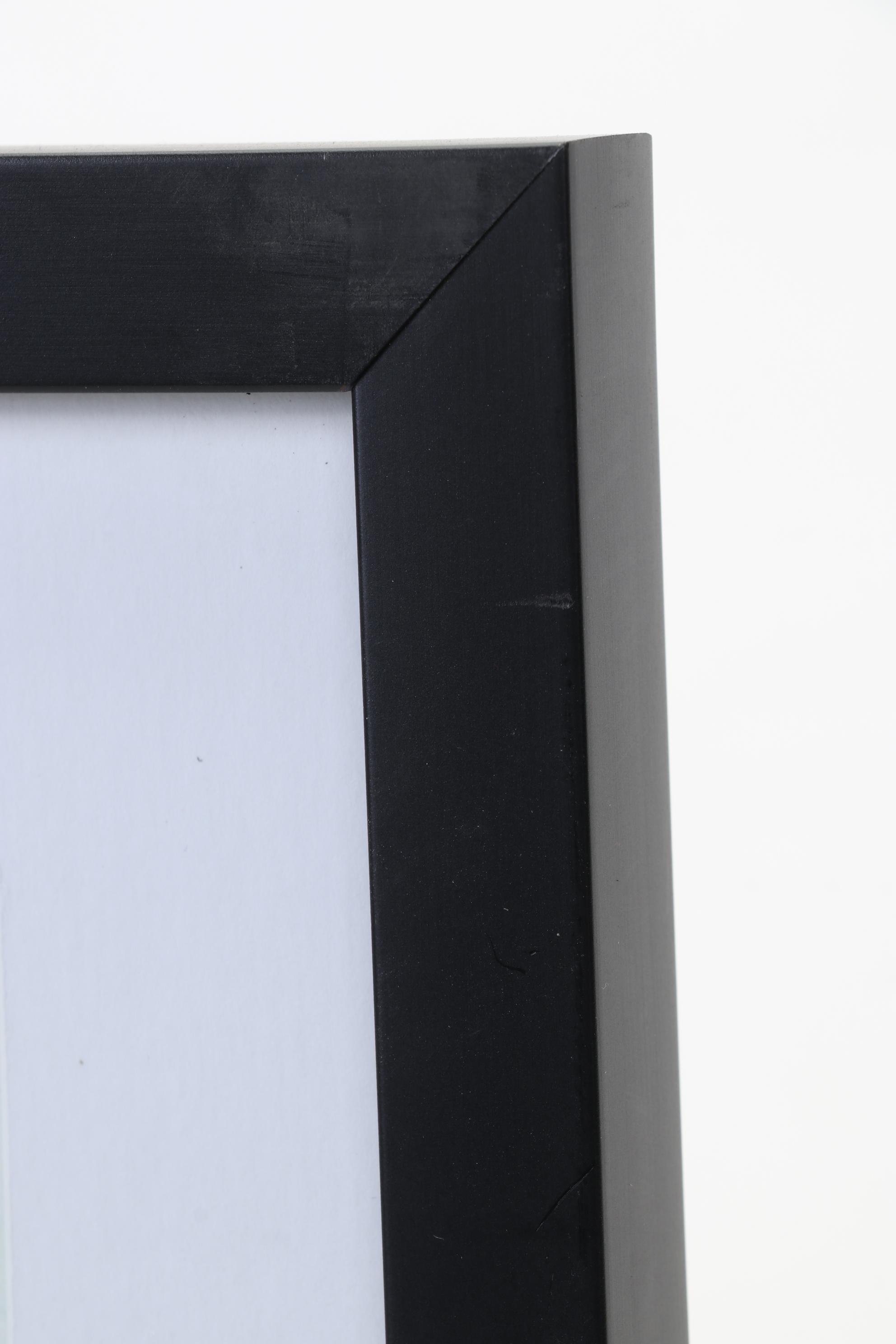 Miho Hirano Offset Lithograph "Self Possessed" From "The Beauties of Nature"