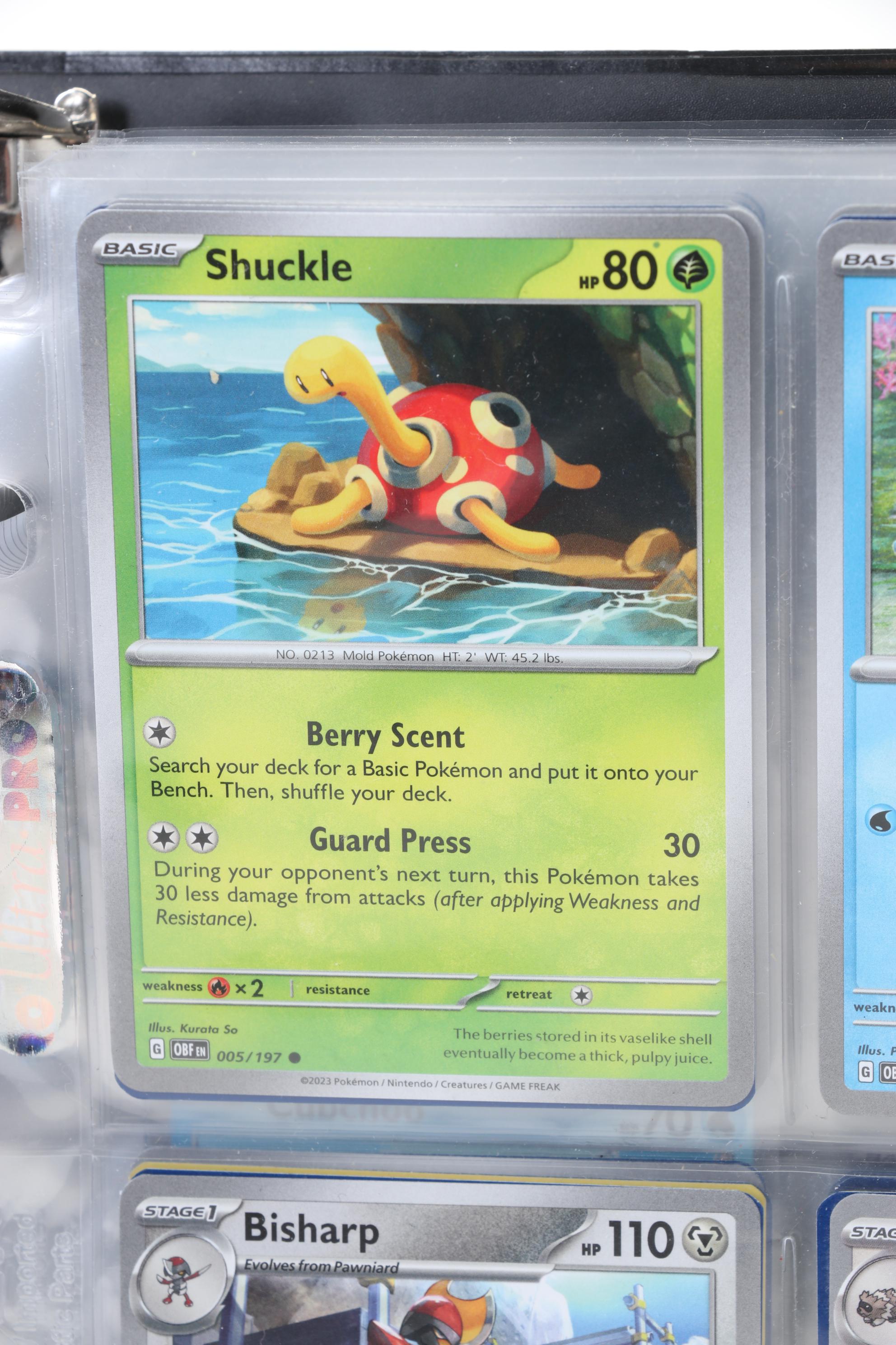 Pokémon Card Collection Featuring Holo Cards