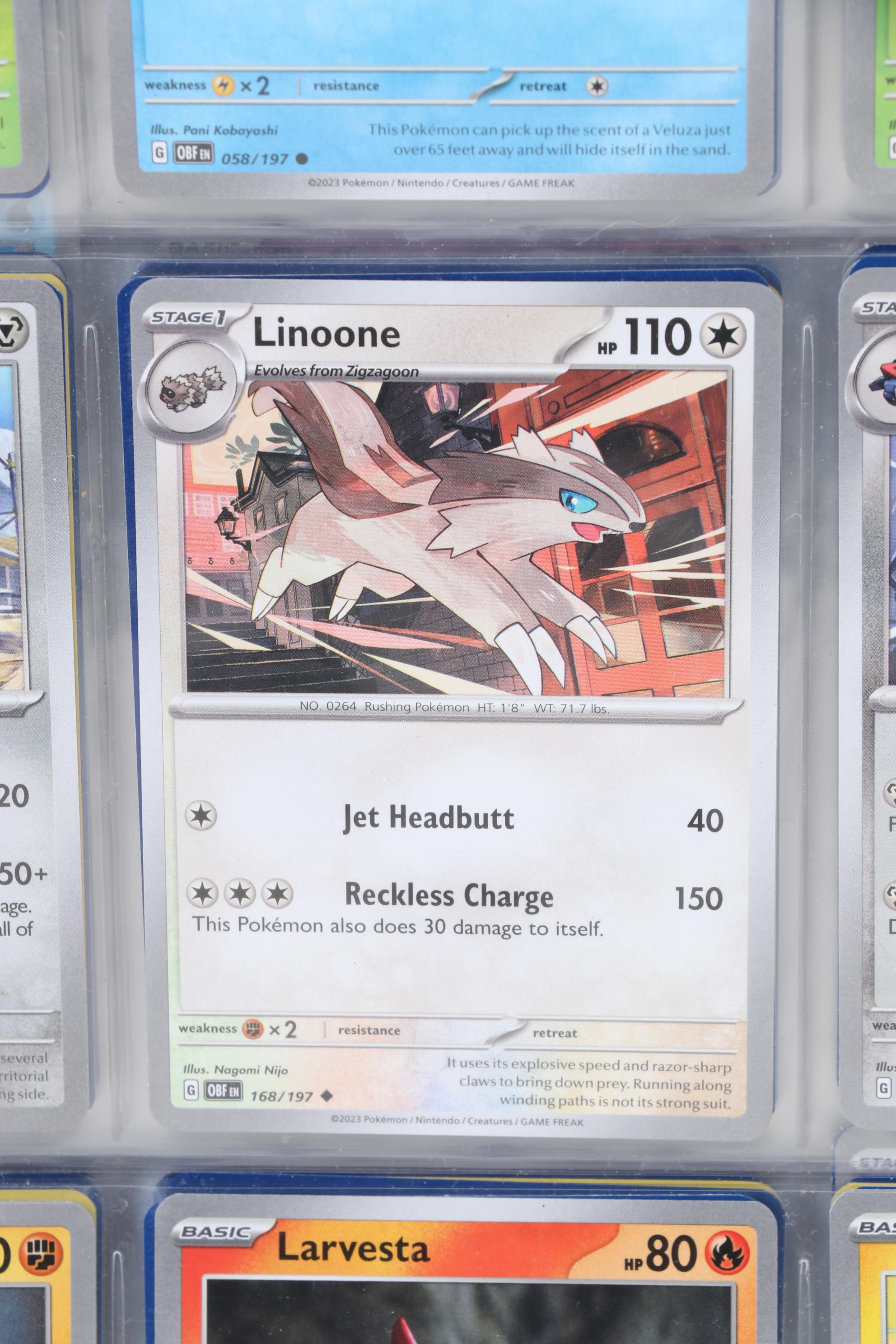 Pokémon Card Collection Featuring Holo Cards