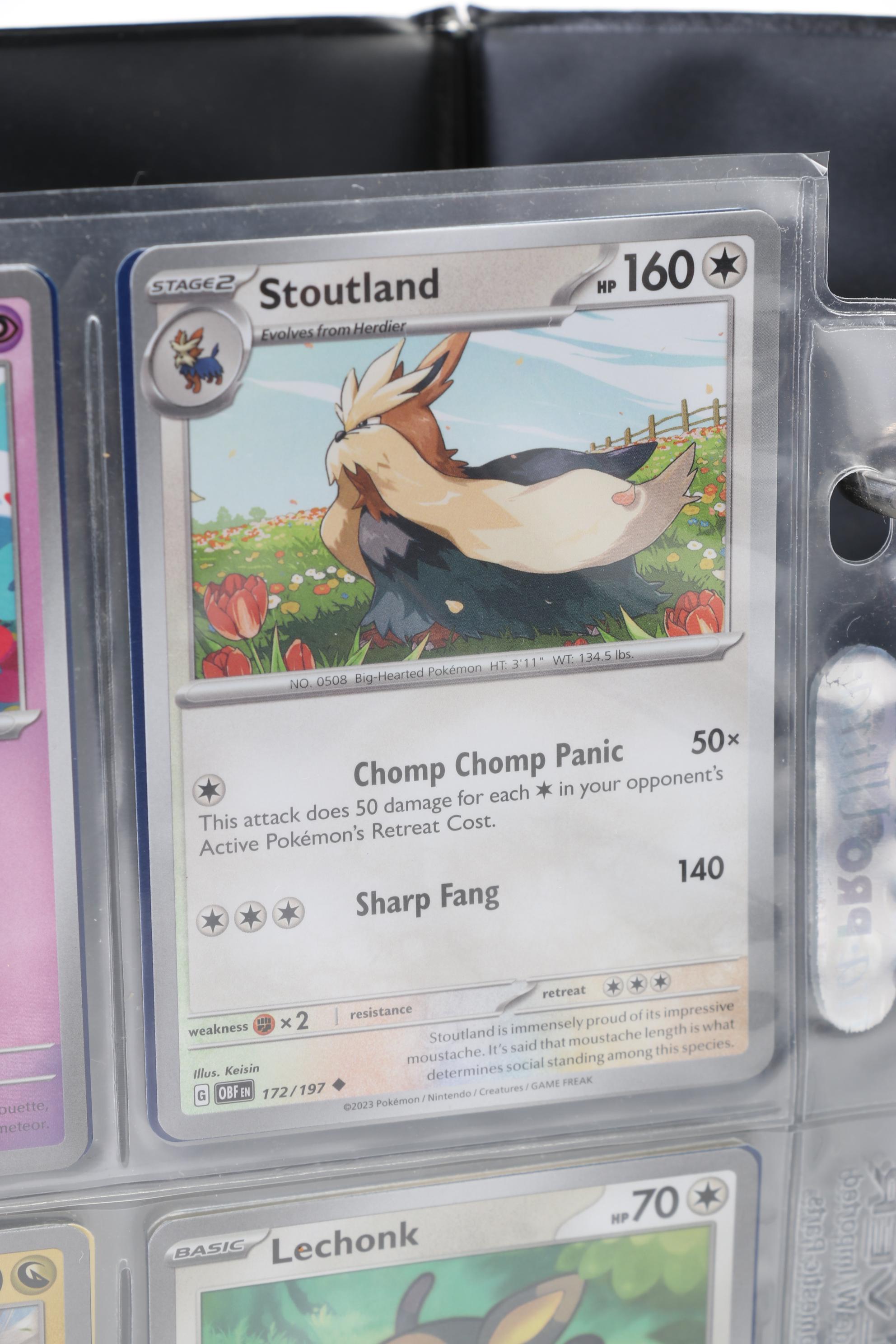 Pokémon Card Collection Featuring Holo Cards