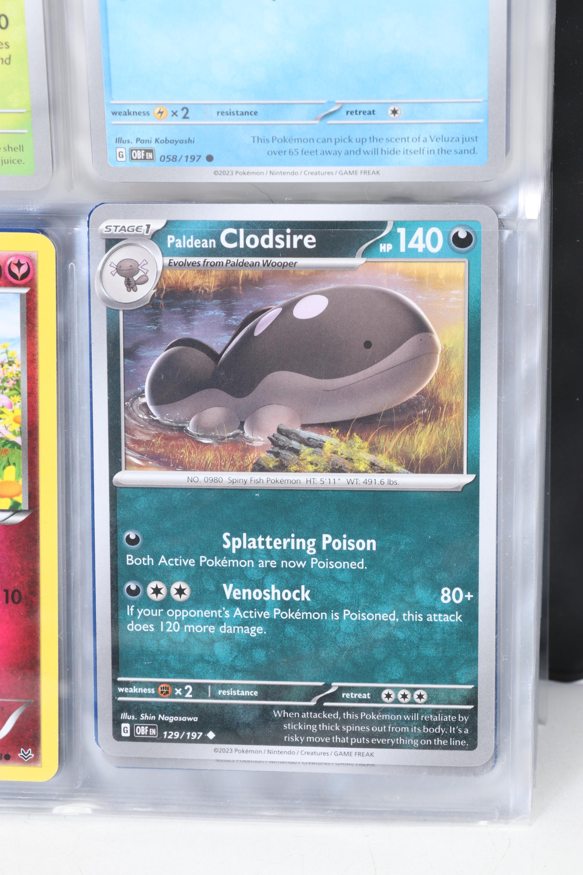 Pokémon Card Collection Featuring Holo Cards