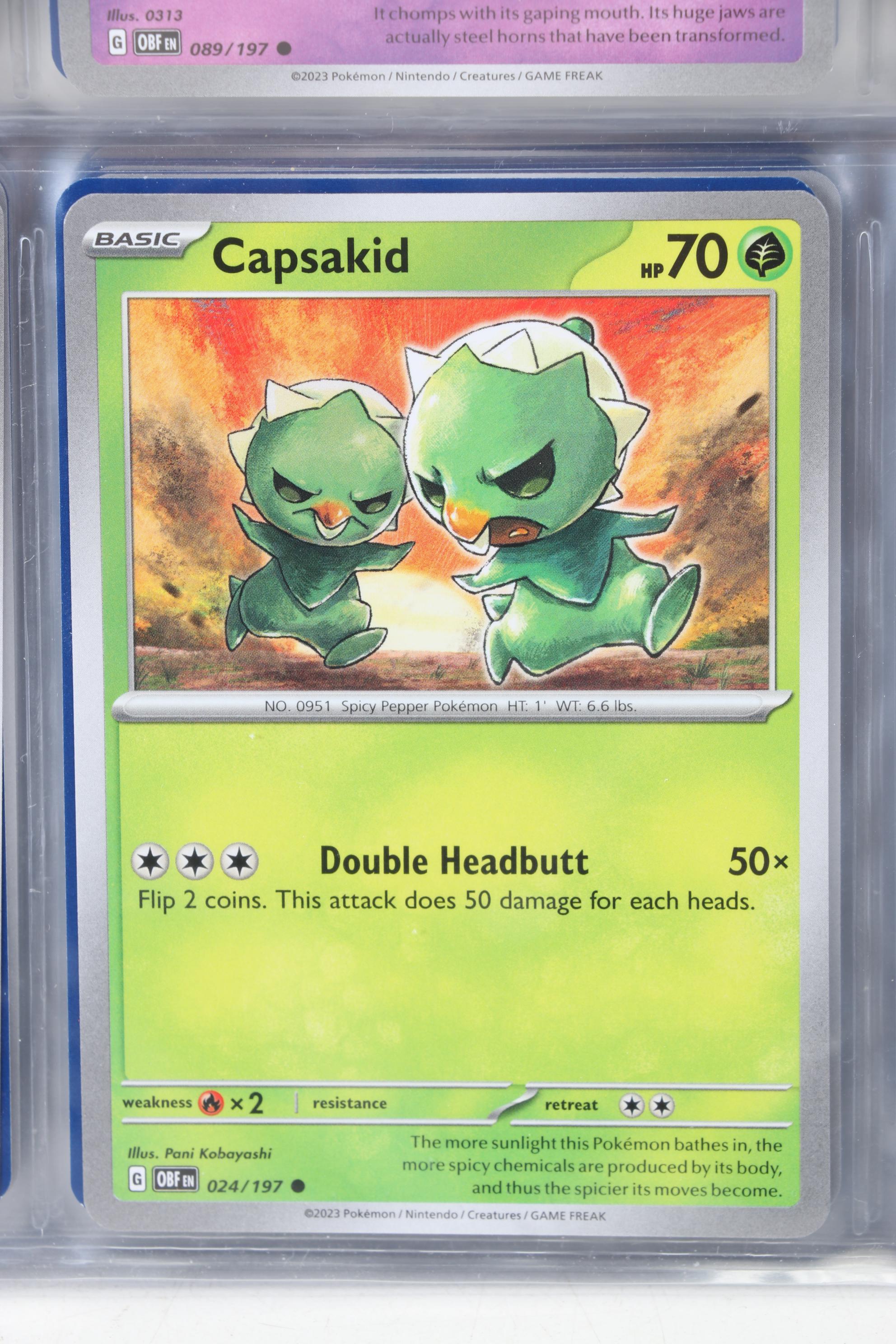 Pokémon Card Collection Featuring Holo Cards