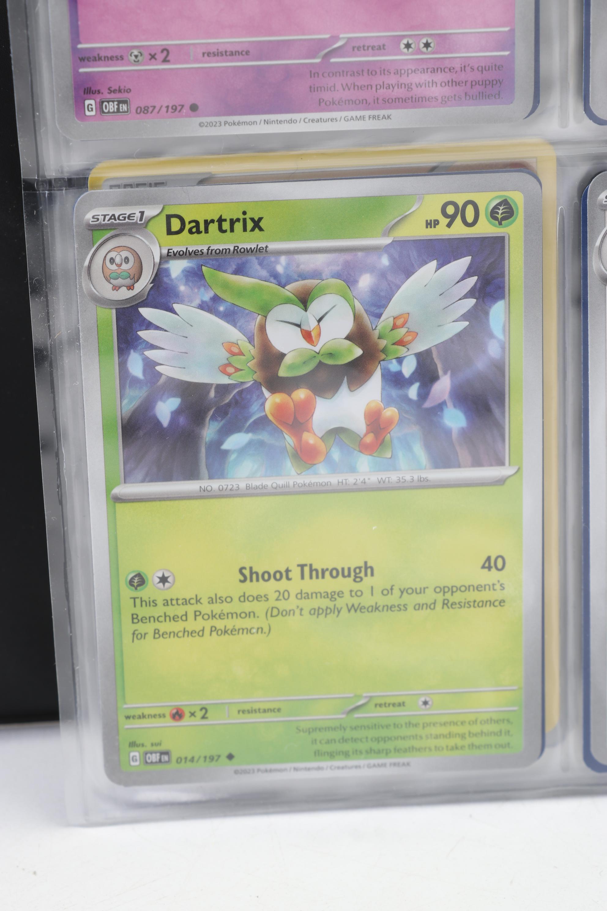 Pokémon Card Collection Featuring Holo Cards