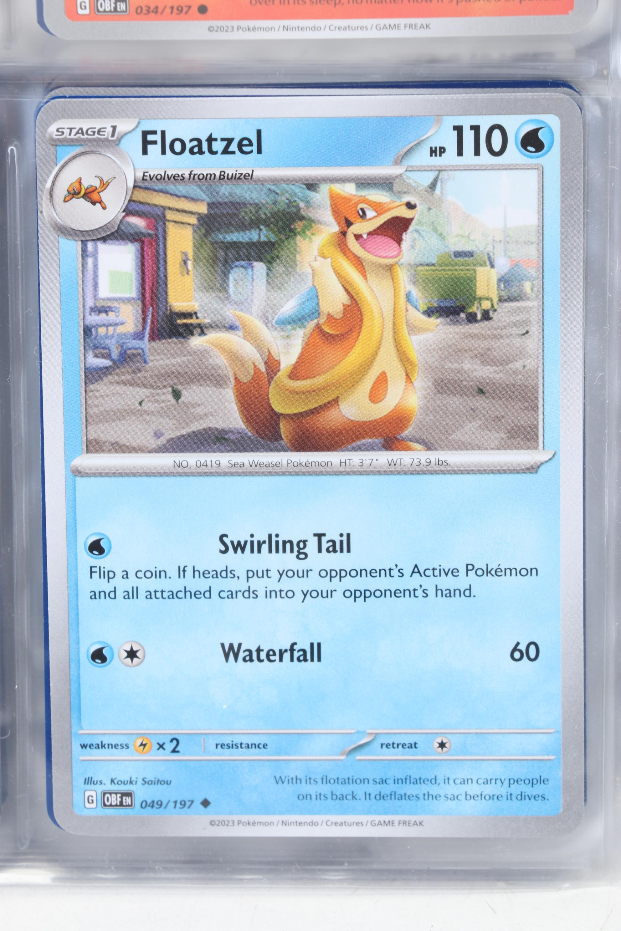 Pokémon Card Collection Featuring Holo Cards