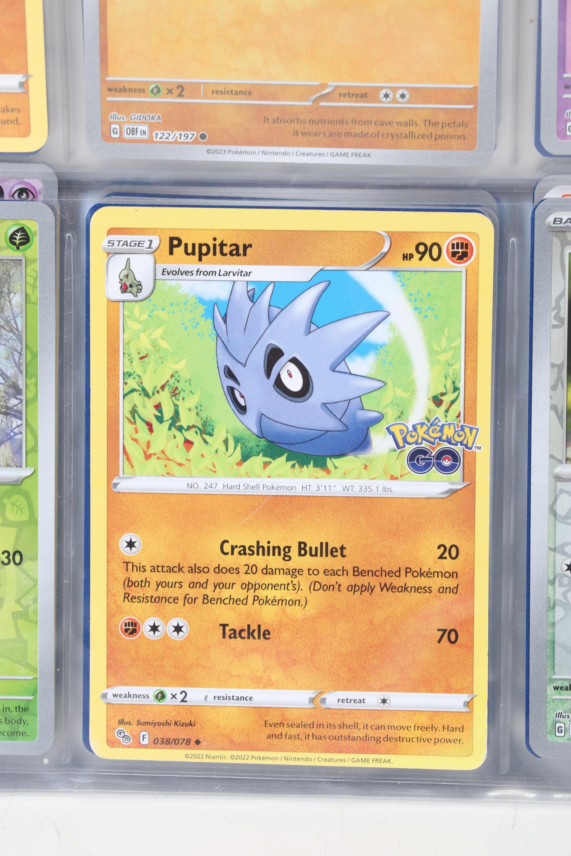 Pokémon Card Collection Featuring Holo Cards