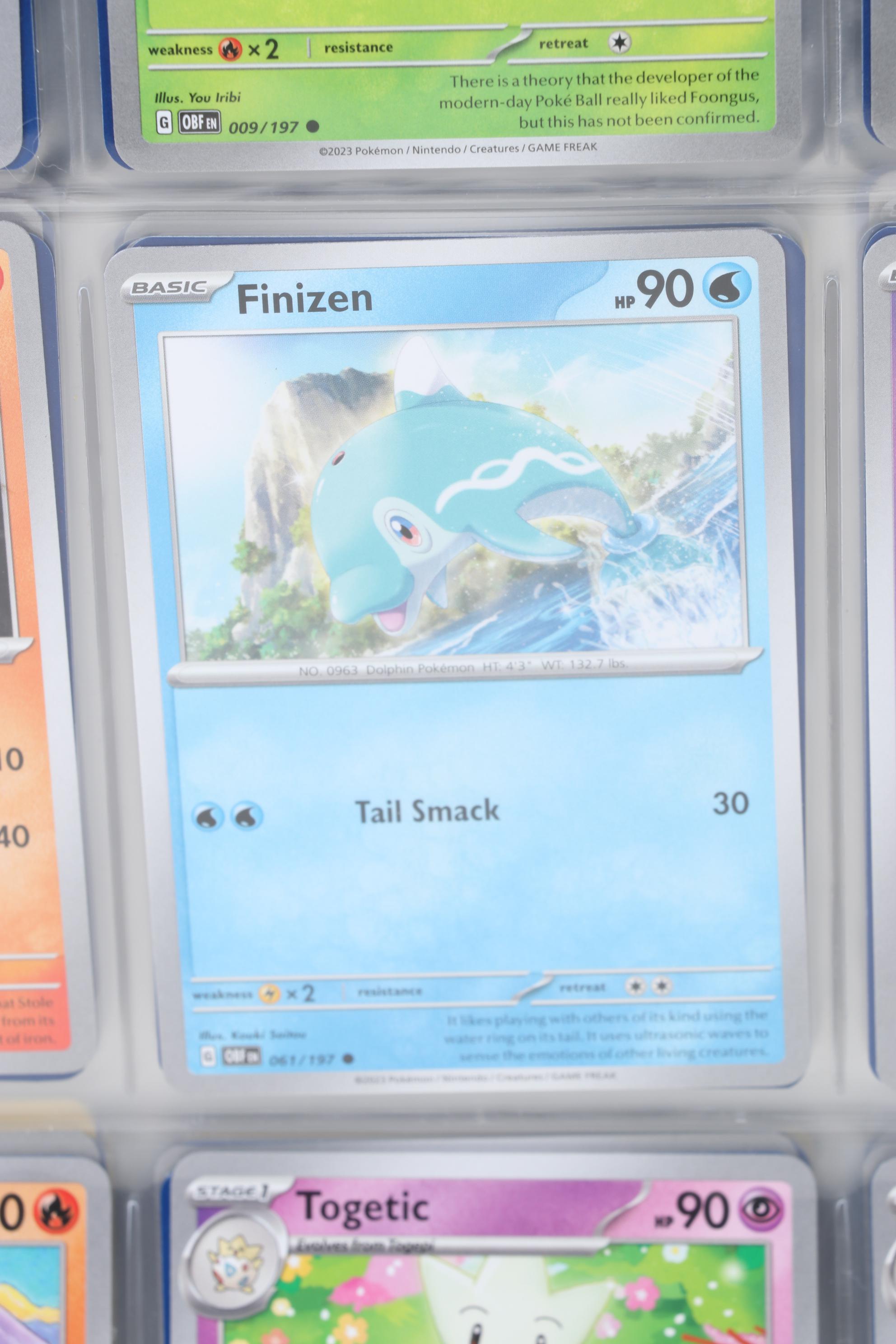 Pokémon Card Collection Featuring Holo Cards