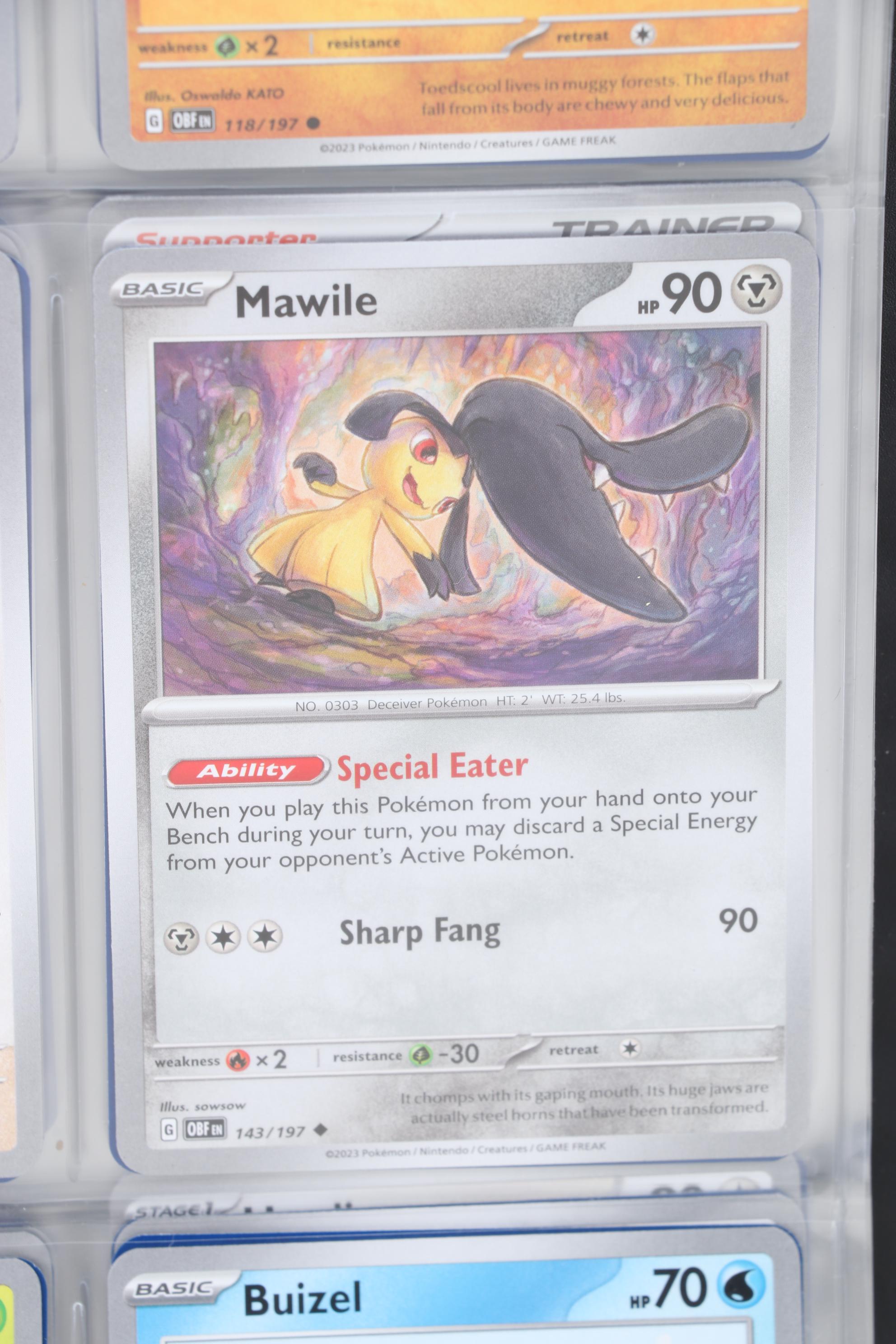 Pokémon Card Collection Featuring Holo Cards