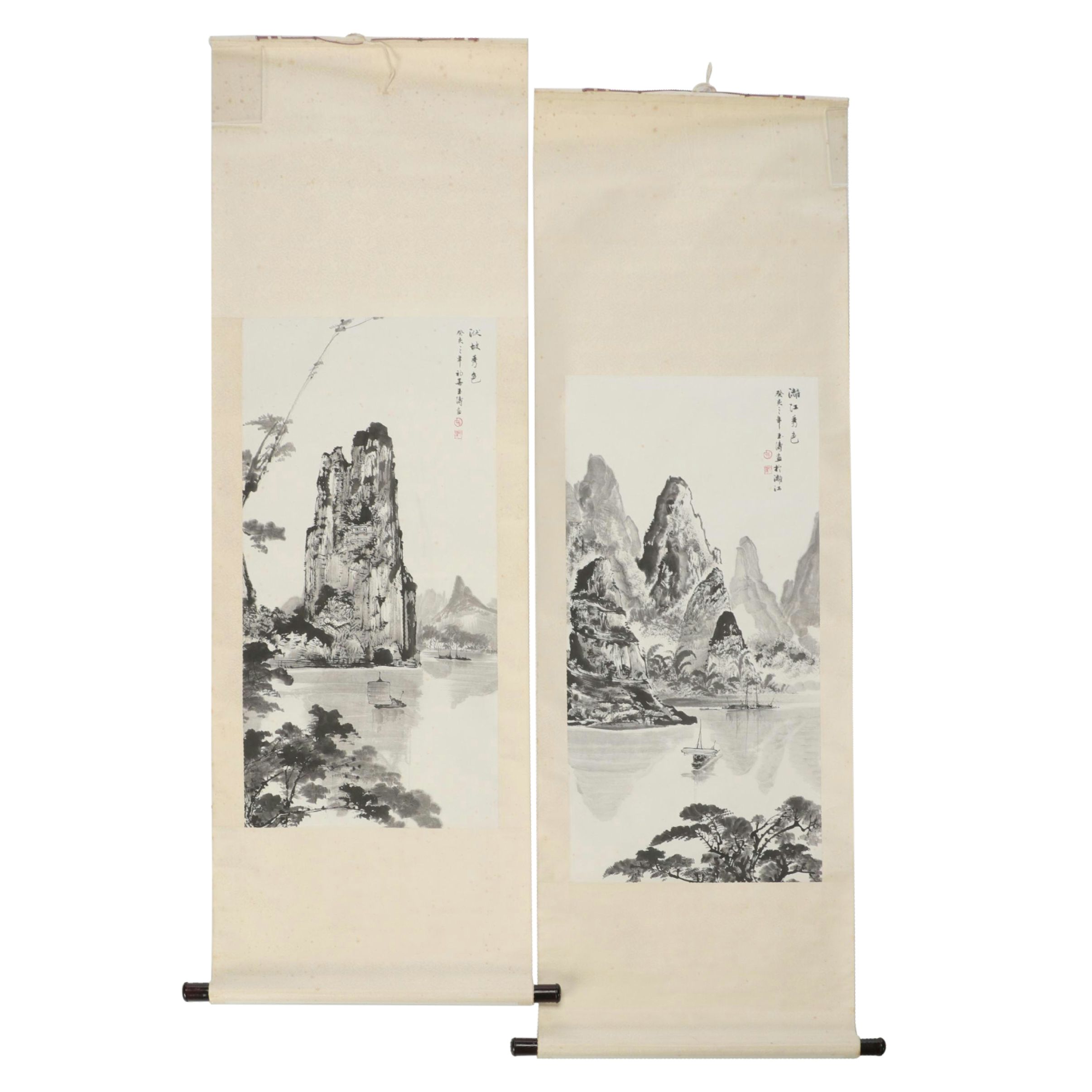 Two Vintage Chinese Ink Scroll Paintings