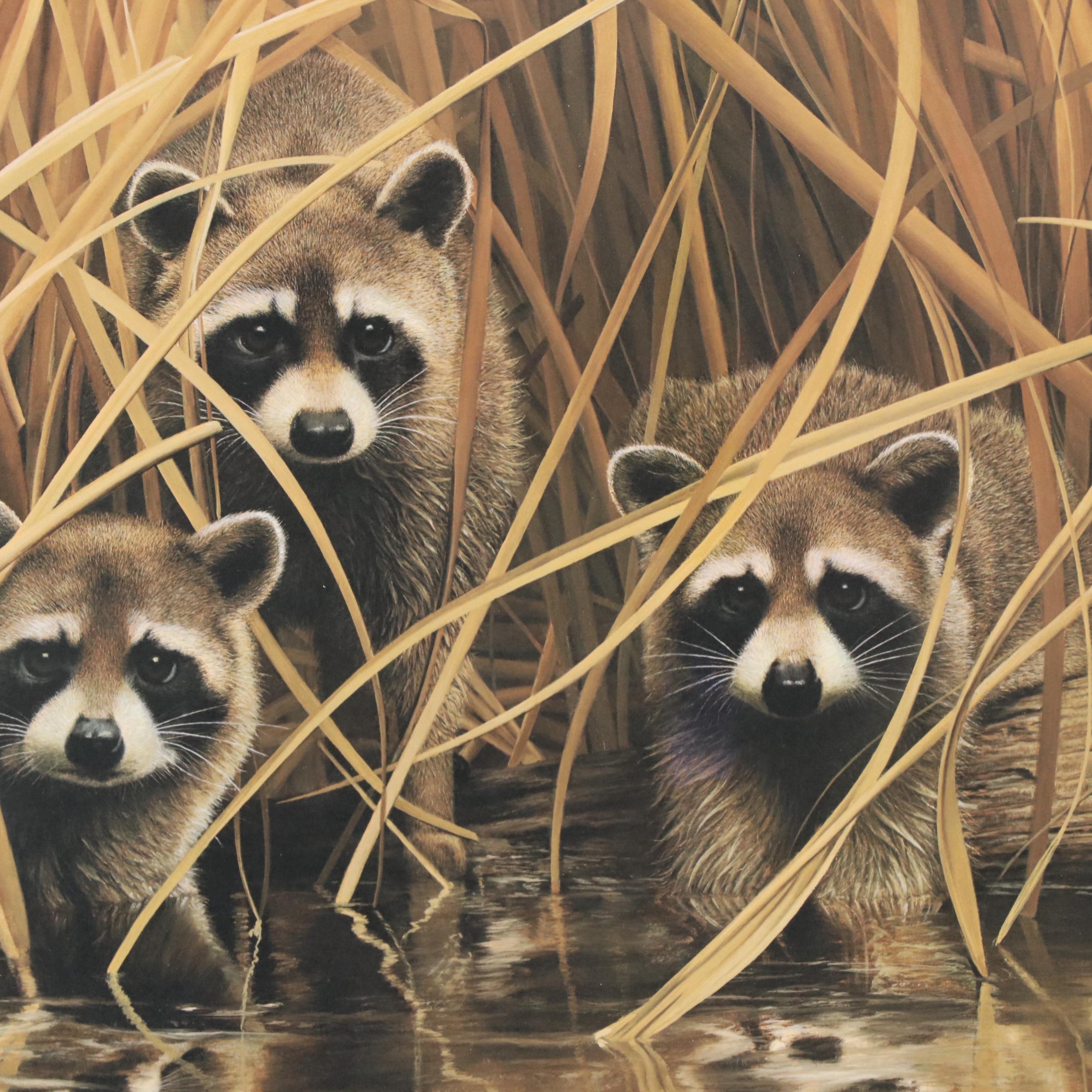 Charles Fracé Offset Lithograph "Raccoon," 1978