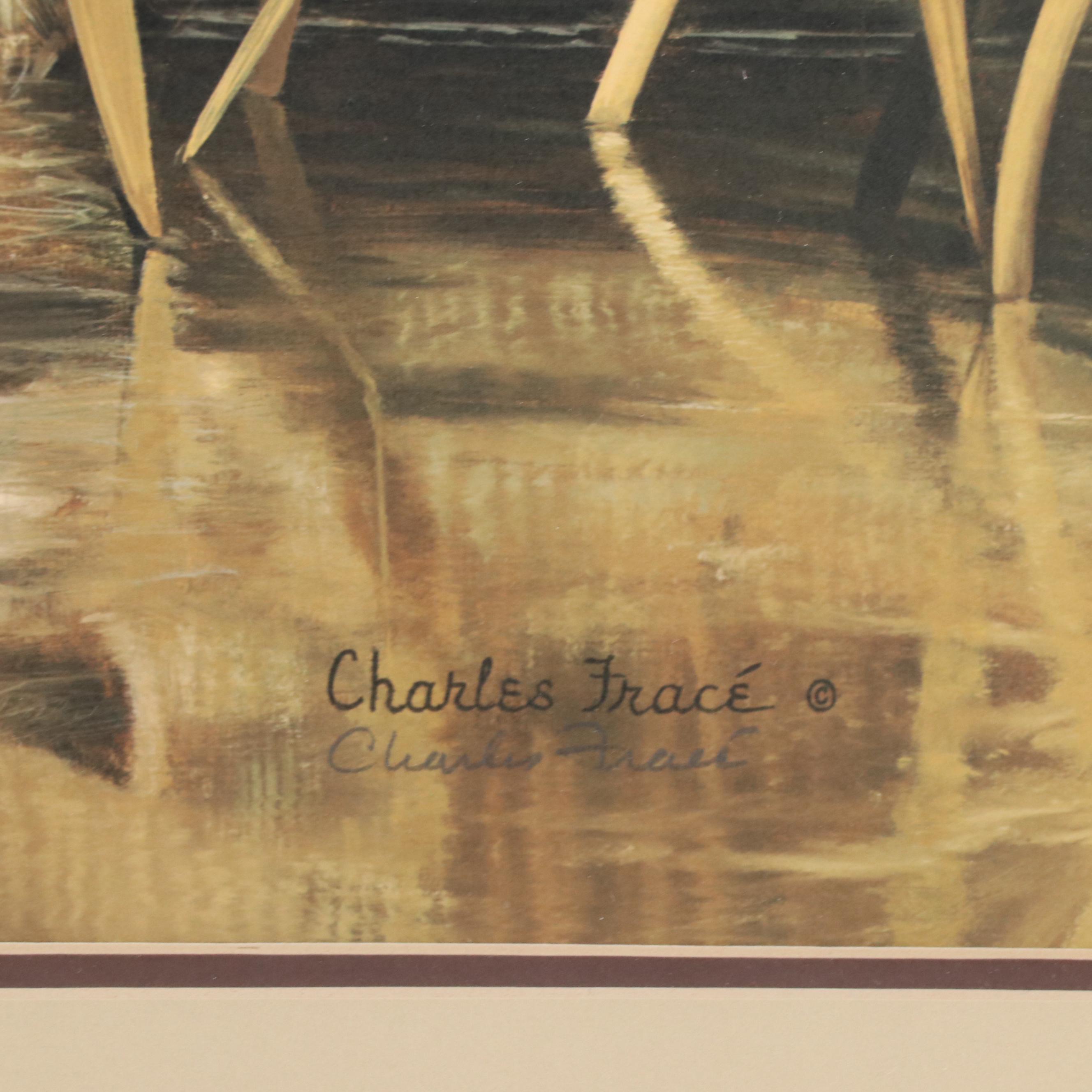 Charles Fracé Offset Lithograph "Raccoon," 1978