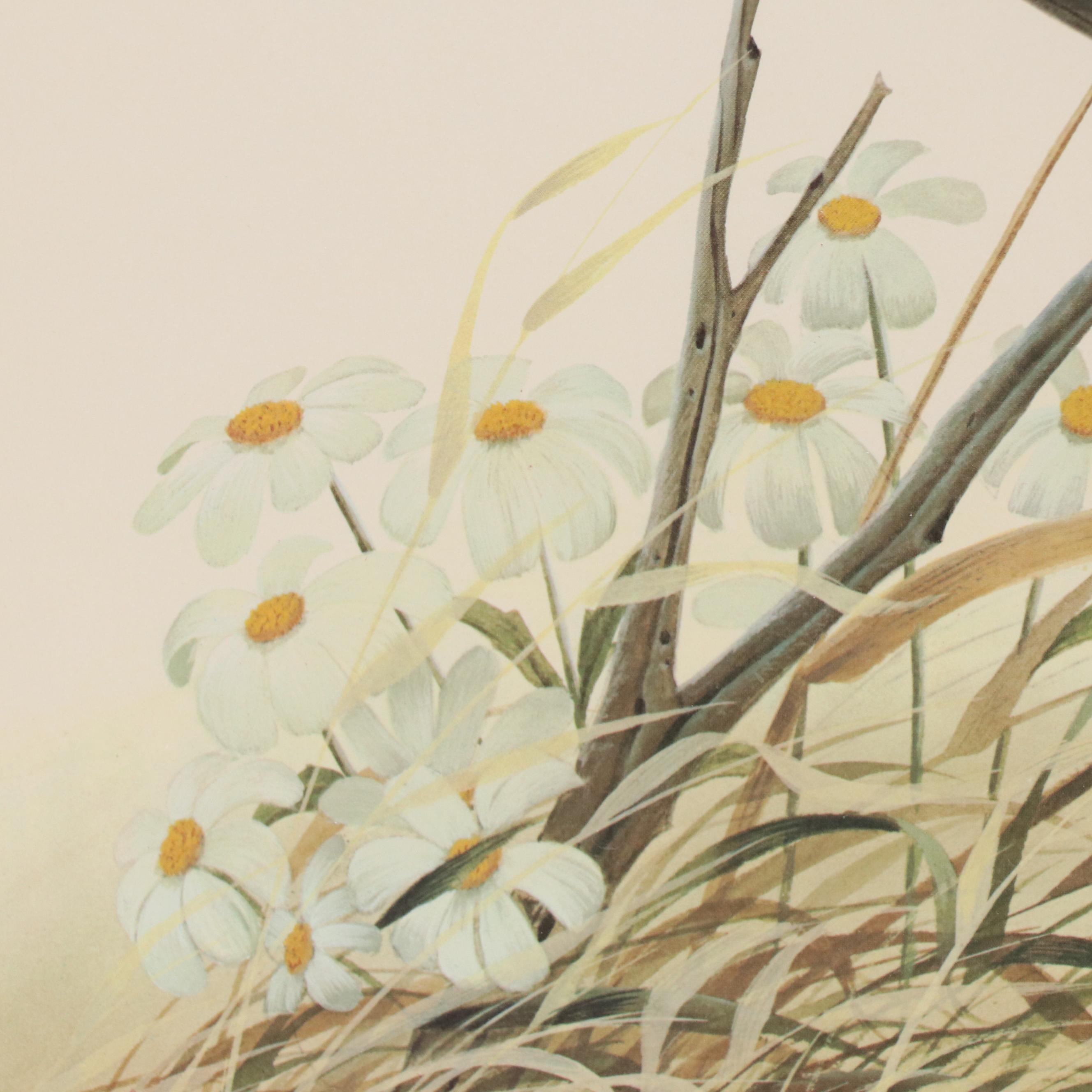 John Ruthven Offset Lithograph "Mourning Dove," 1971