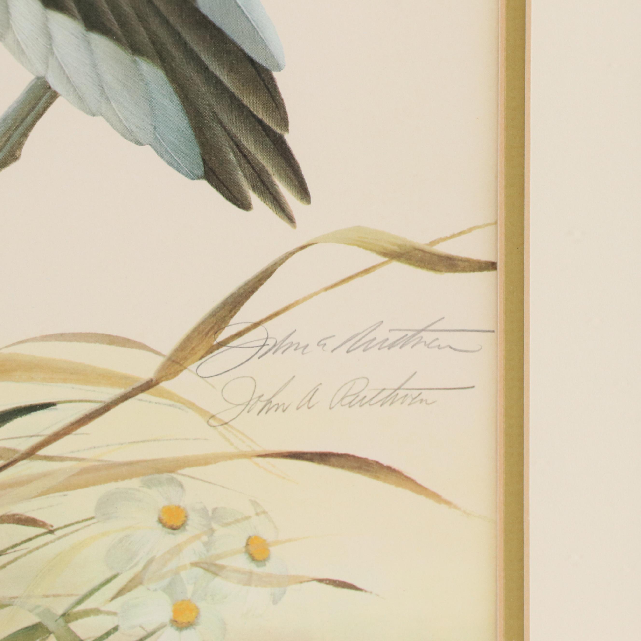 John Ruthven Offset Lithograph "Mourning Dove," 1971