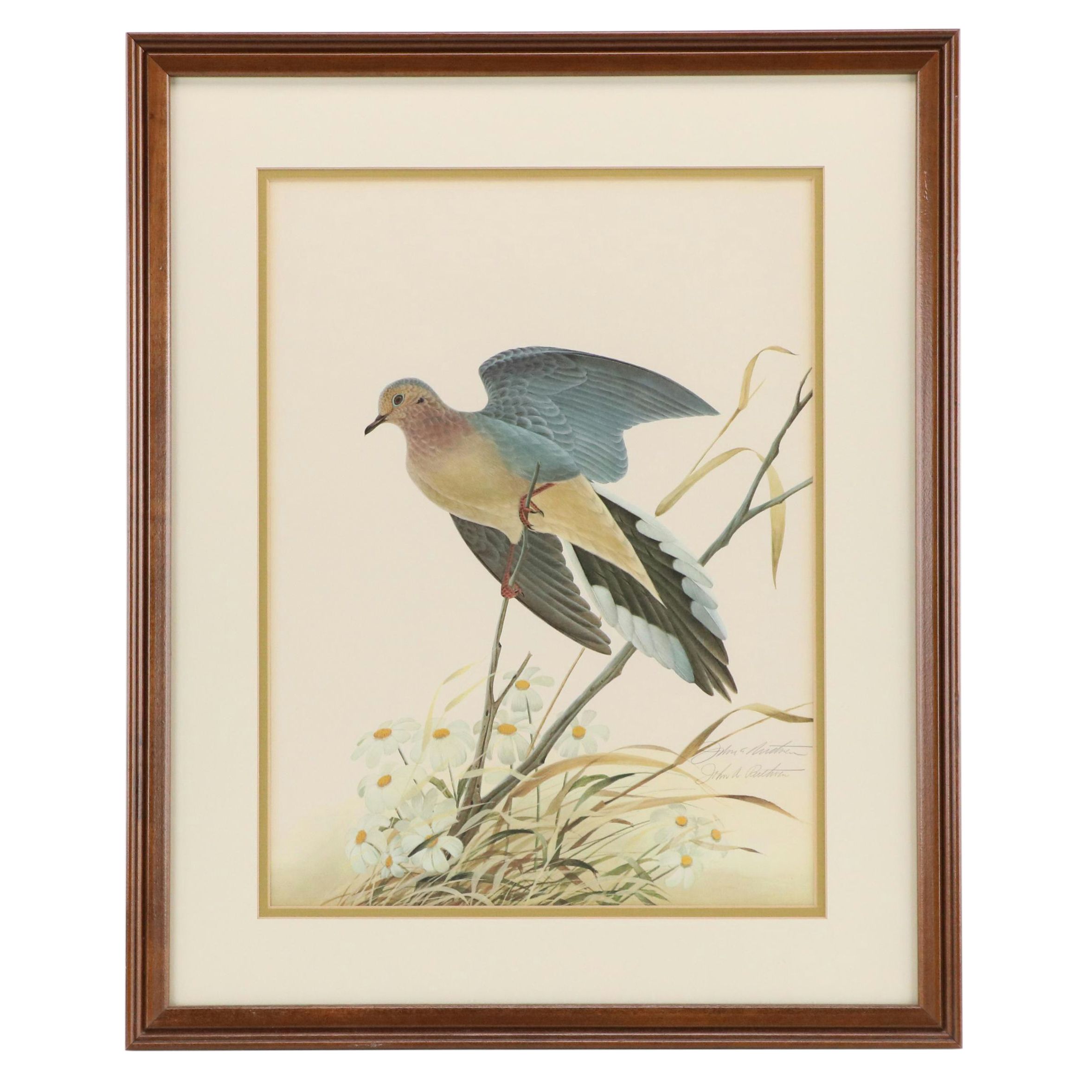 John Ruthven Offset Lithograph "Mourning Dove," 1971