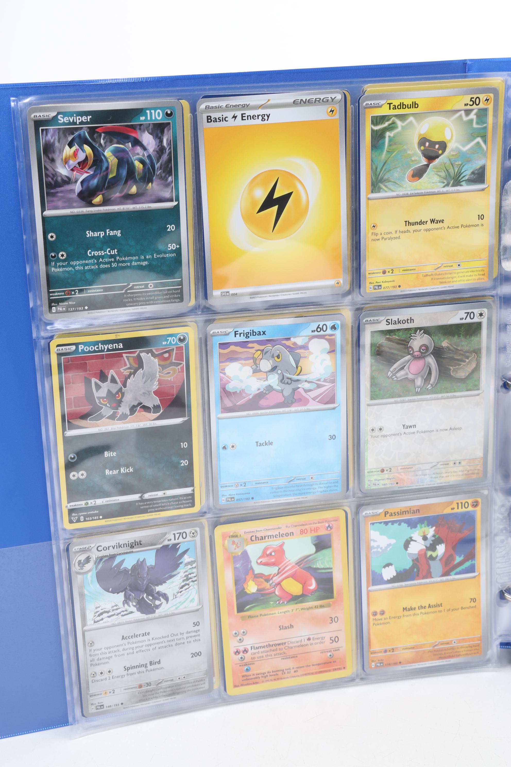 Pokémon Cards, First Editions and Holo, 1999-2023