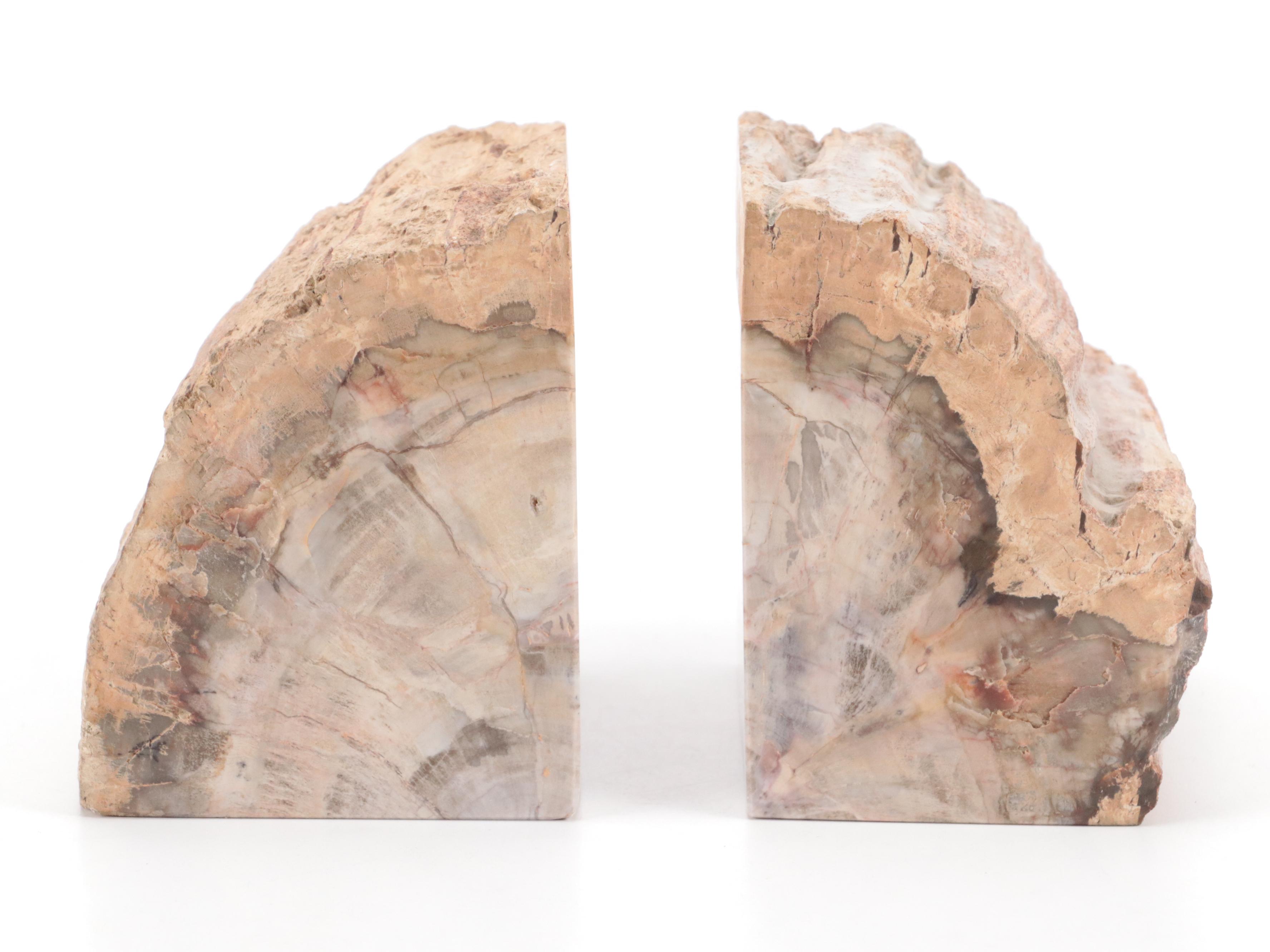 Opalized Petrified Wood Bookends with Carved Stone Bowl