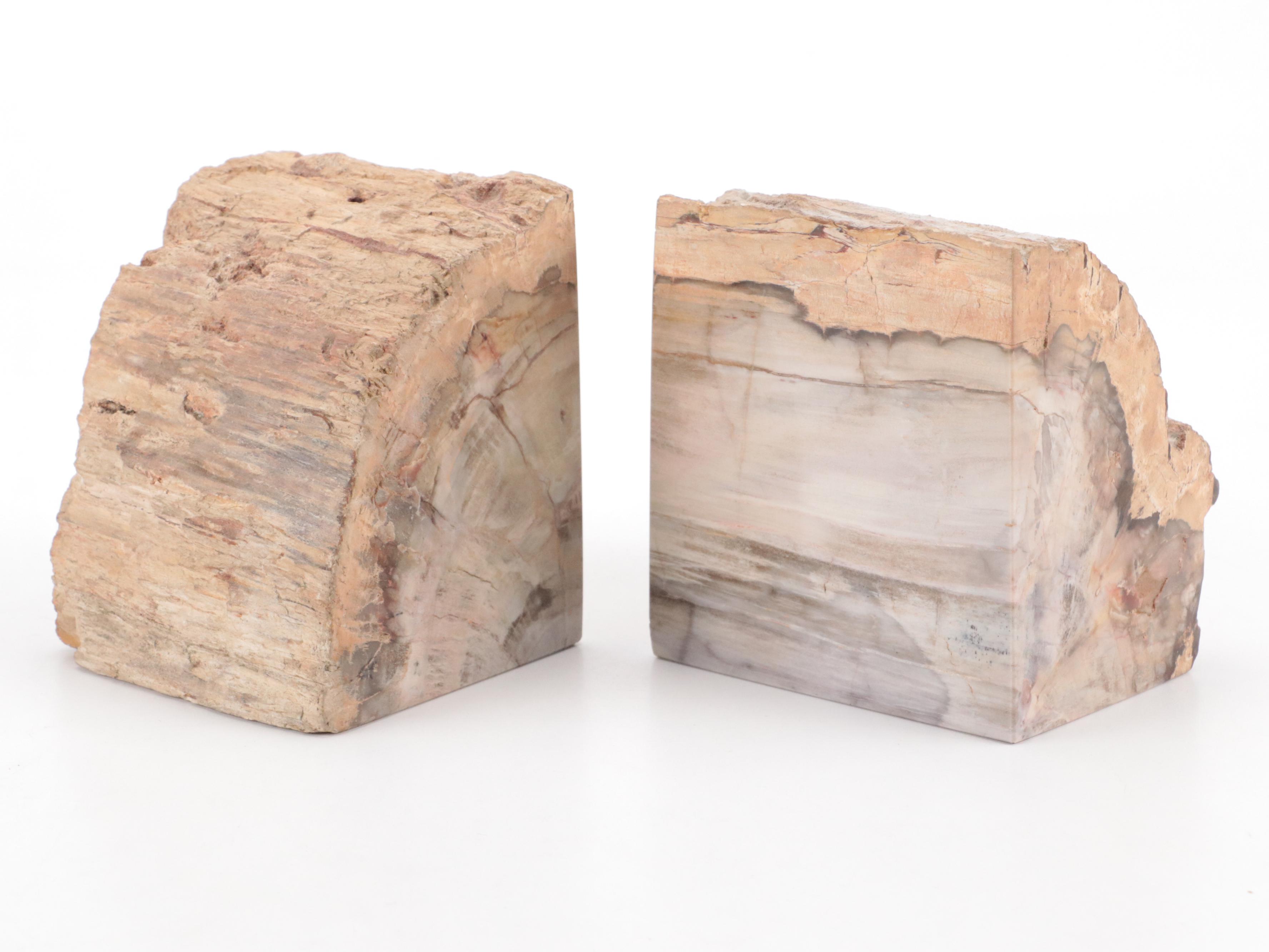 Opalized Petrified Wood Bookends with Carved Stone Bowl