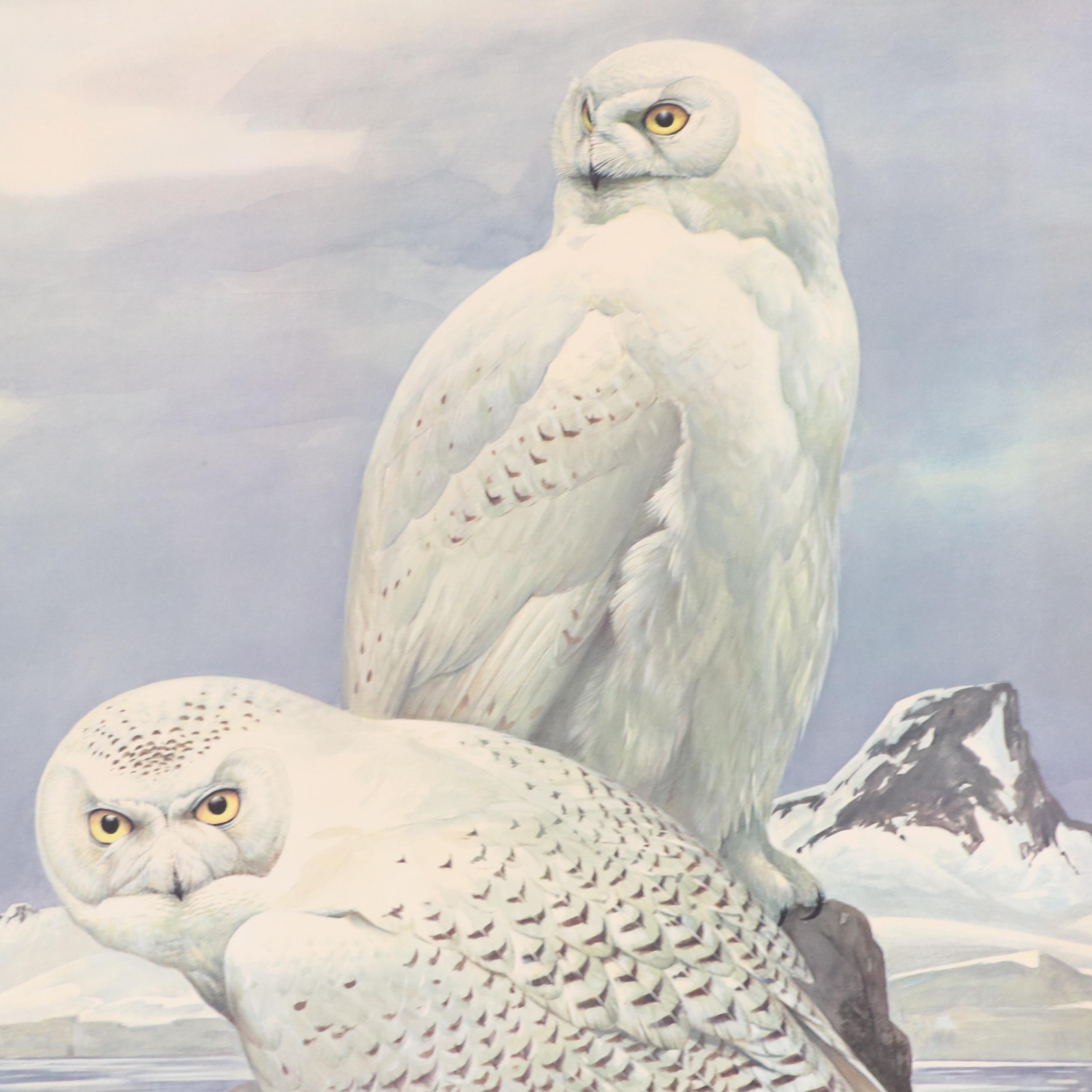 Roger Tory Peterson Offset Lithograph "Snowy Owl," 1976