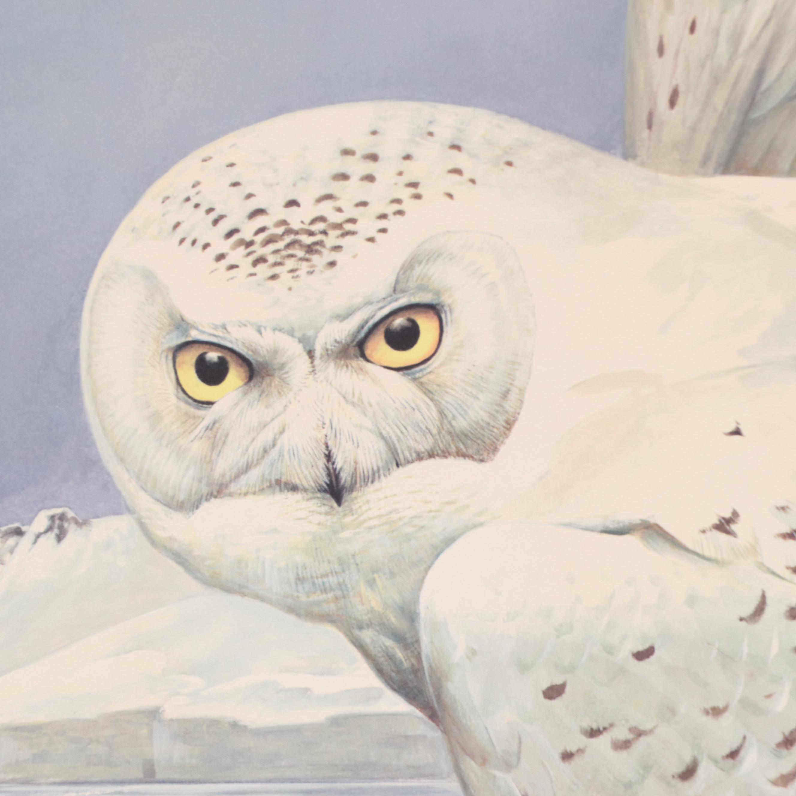 Roger Tory Peterson Offset Lithograph "Snowy Owl," 1976