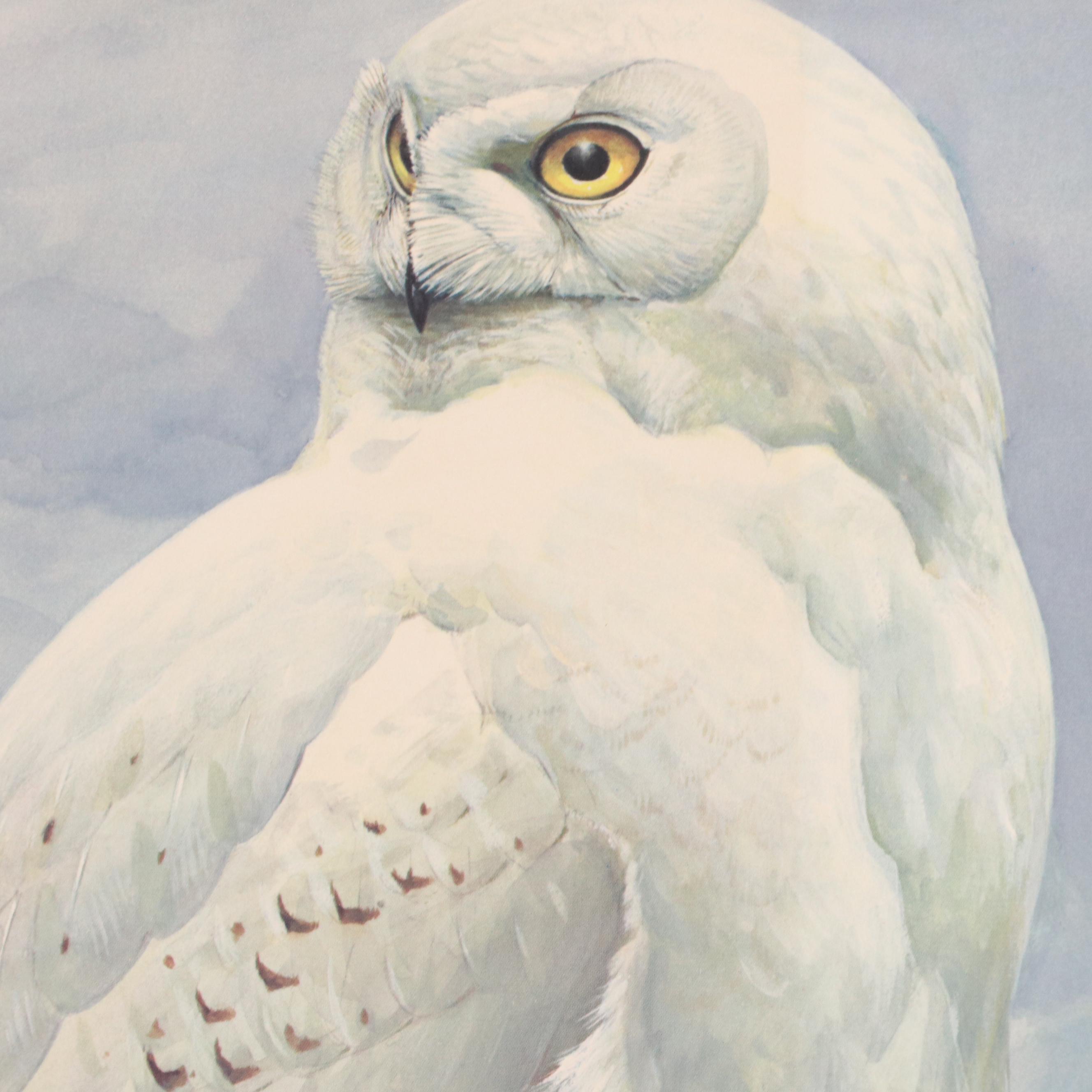 Roger Tory Peterson Offset Lithograph "Snowy Owl," 1976