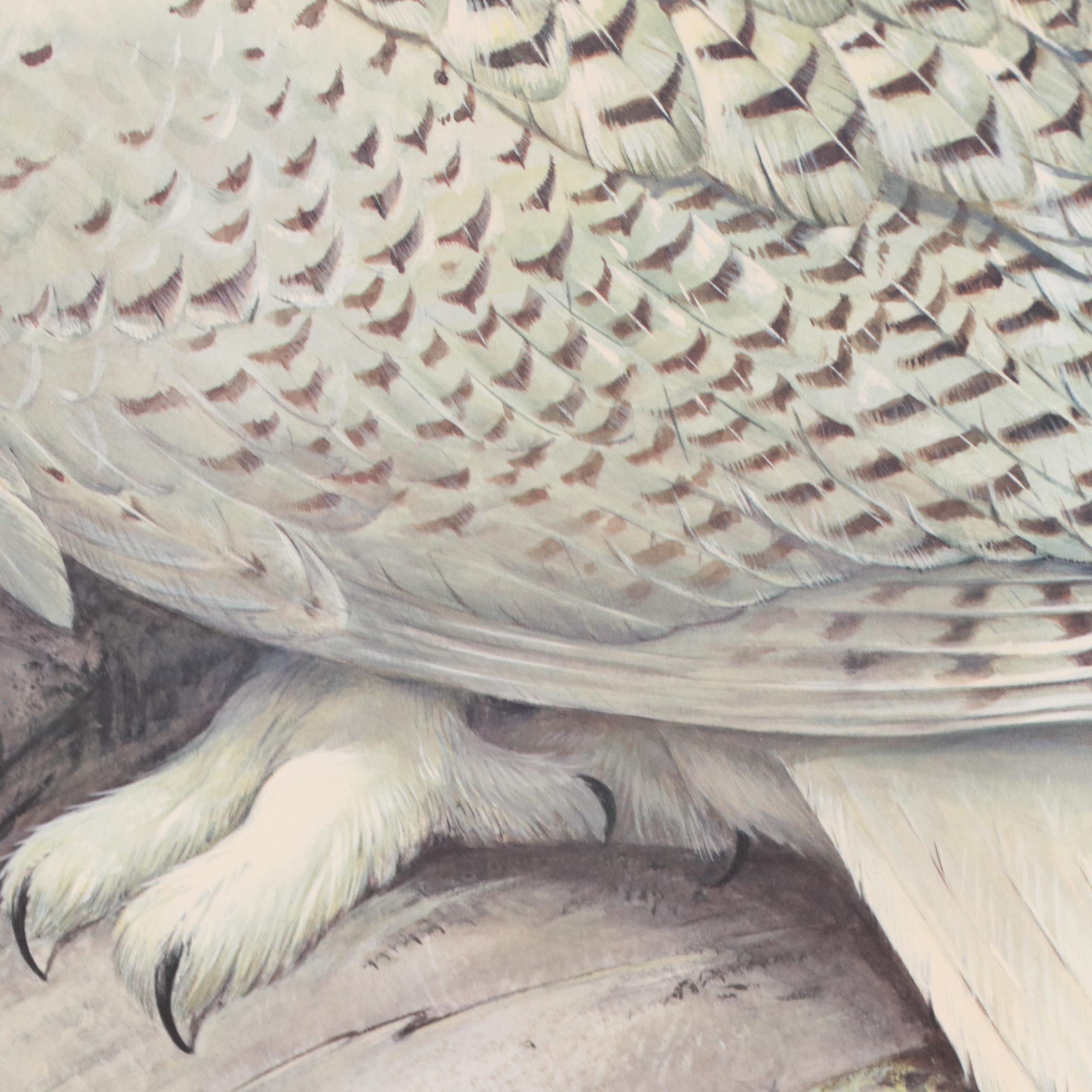 Roger Tory Peterson Offset Lithograph "Snowy Owl," 1976