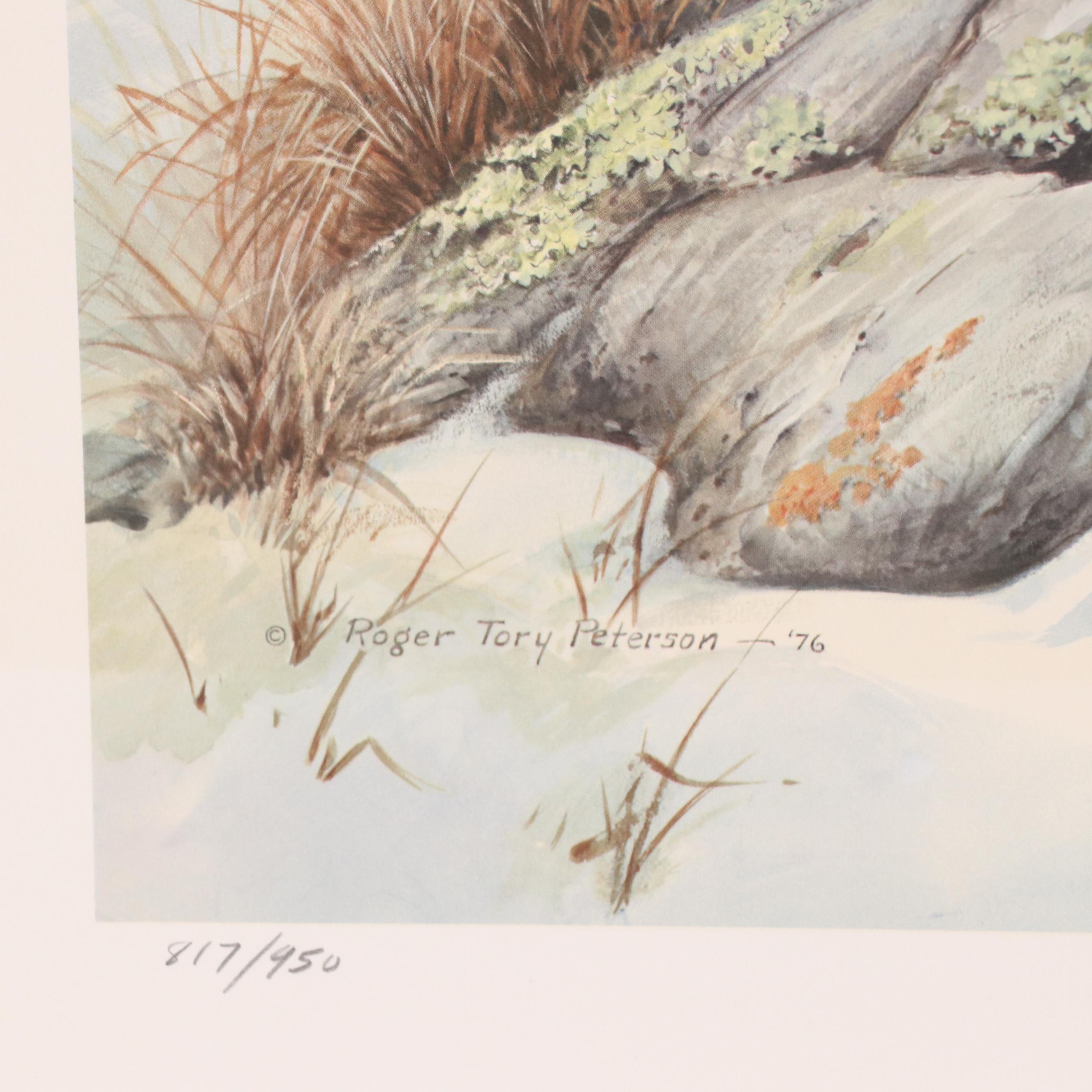 Roger Tory Peterson Offset Lithograph "Snowy Owl," 1976