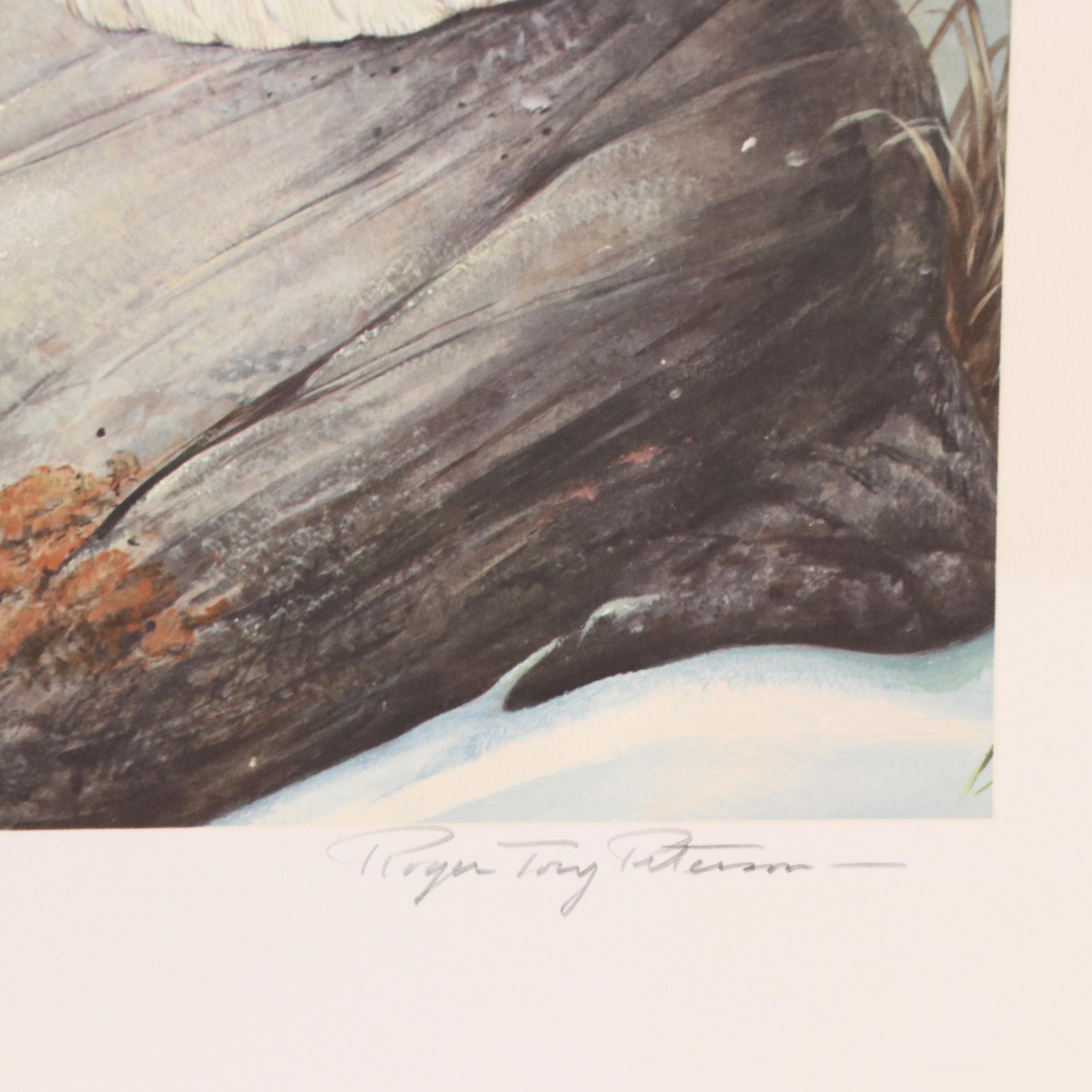 Roger Tory Peterson Offset Lithograph "Snowy Owl," 1976