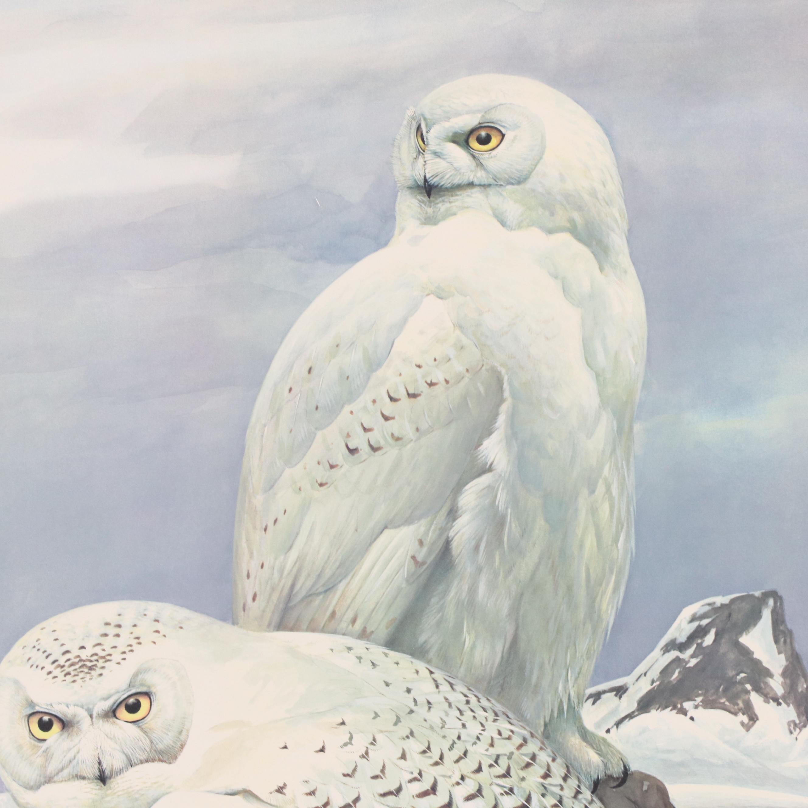 Roger Tory Peterson Offset Lithograph "Snowy Owl," 1976