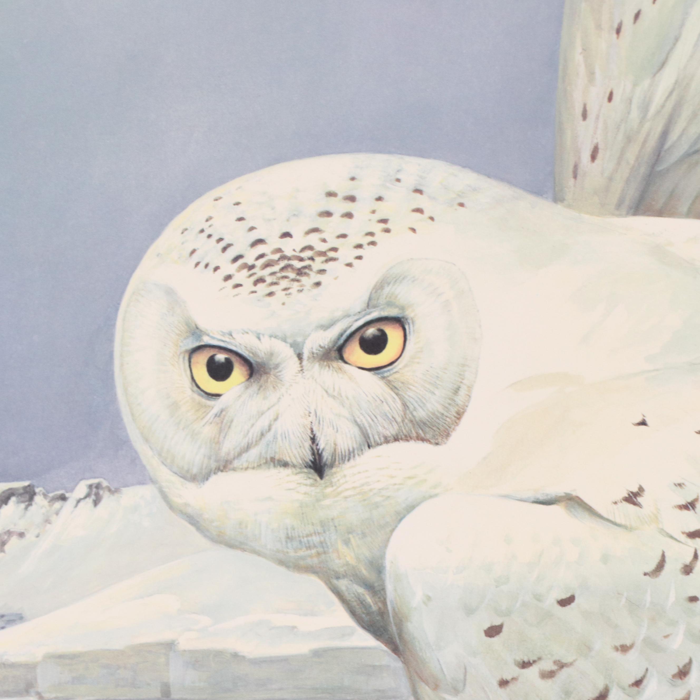 Roger Tory Peterson Offset Lithograph "Snowy Owl," 1976