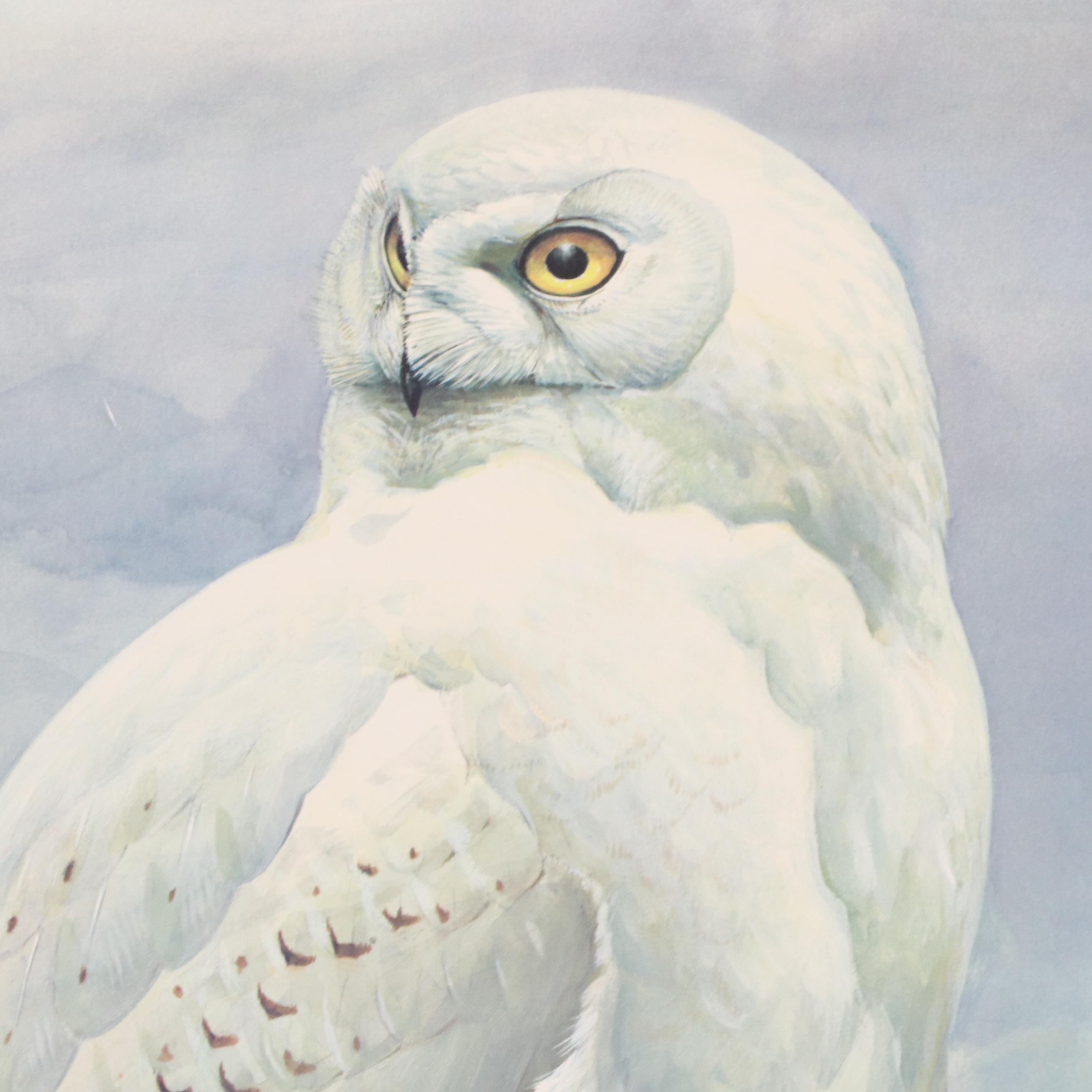 Roger Tory Peterson Offset Lithograph "Snowy Owl," 1976