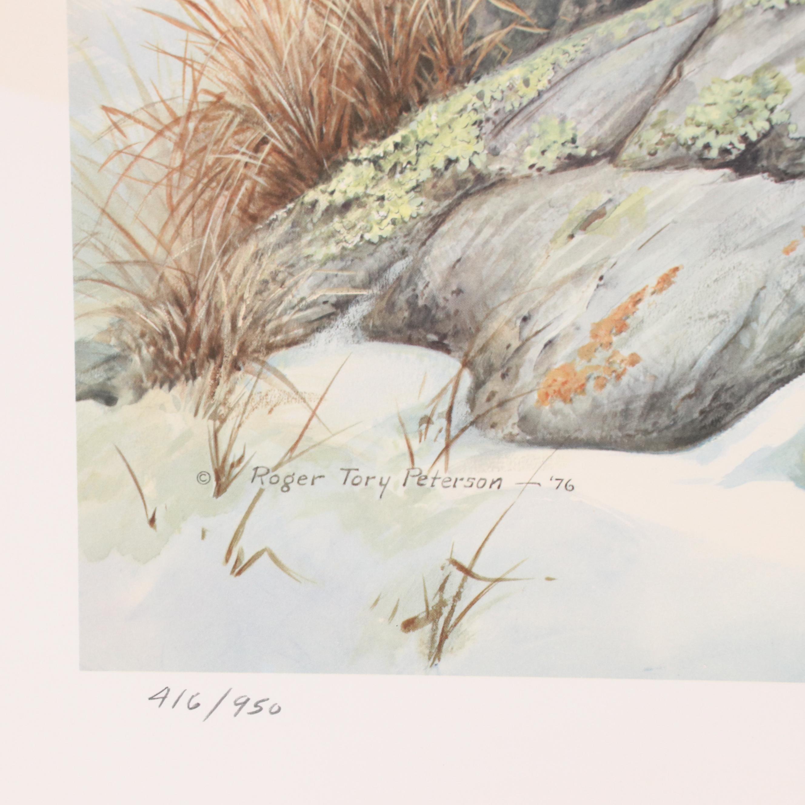 Roger Tory Peterson Offset Lithograph "Snowy Owl," 1976