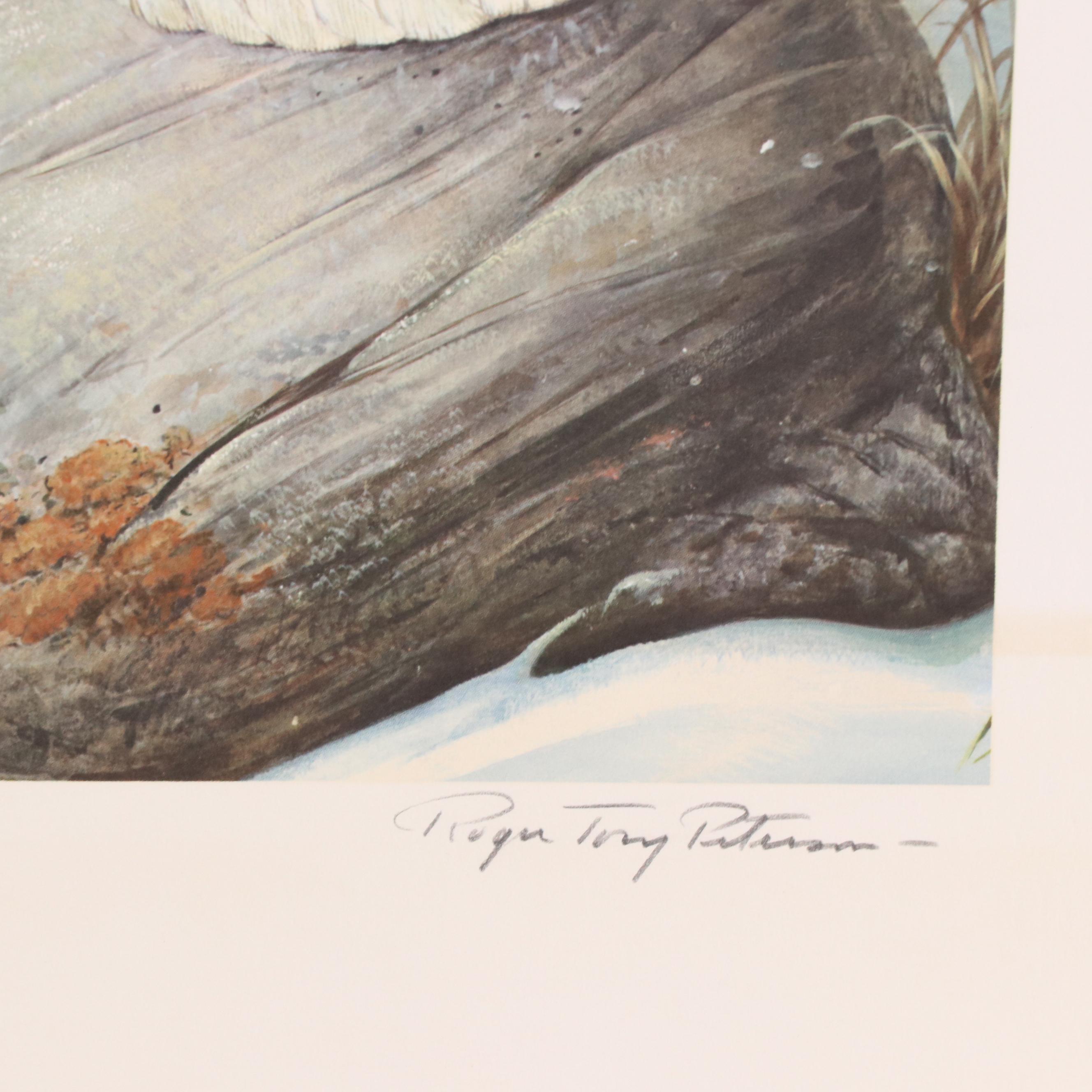 Roger Tory Peterson Offset Lithograph "Snowy Owl," 1976