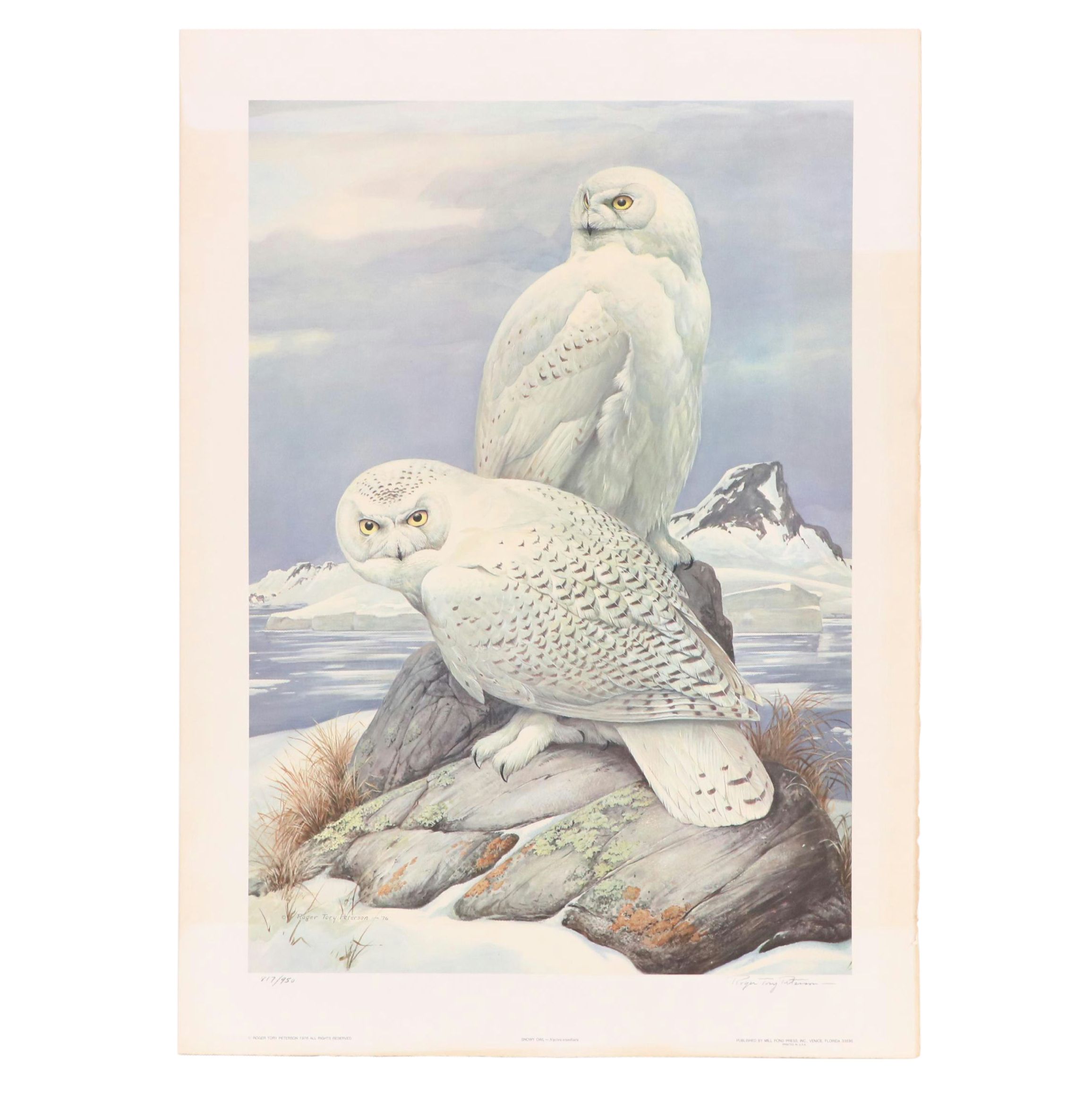 Roger Tory Peterson Offset Lithograph "Snowy Owl," 1976