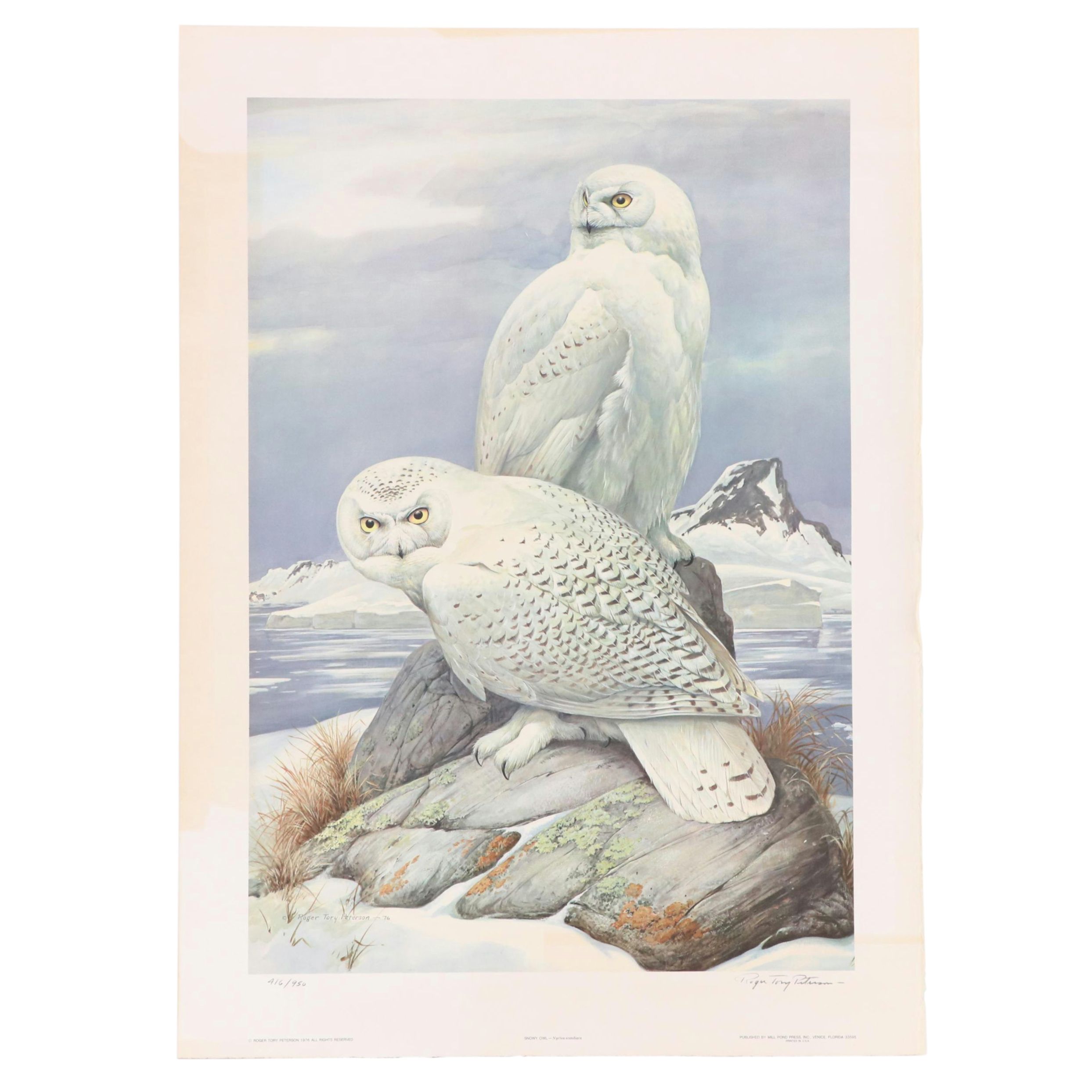 Roger Tory Peterson Offset Lithograph "Snowy Owl," 1976