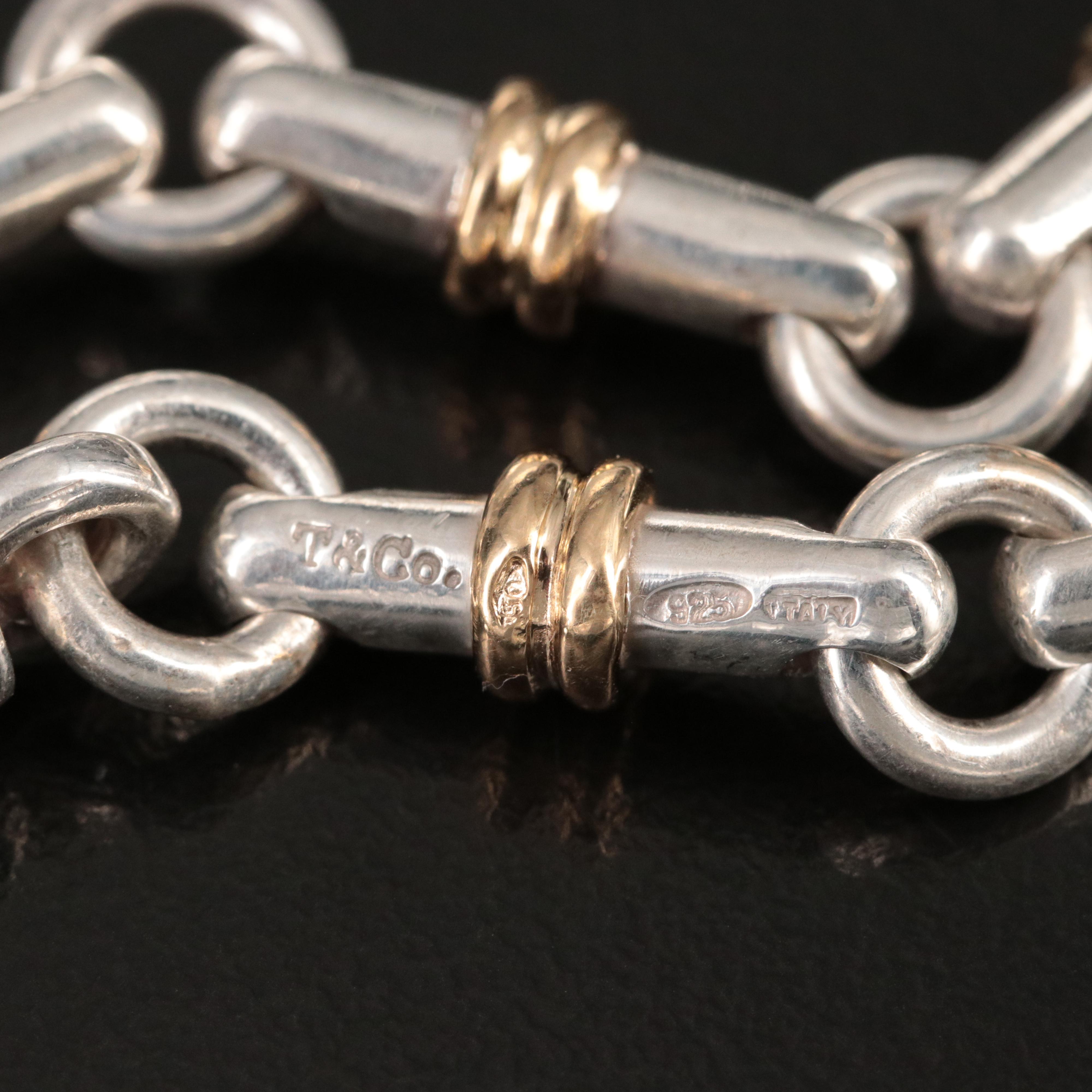 Tiffany & Co. Sterling and 18K Bar Link Necklace