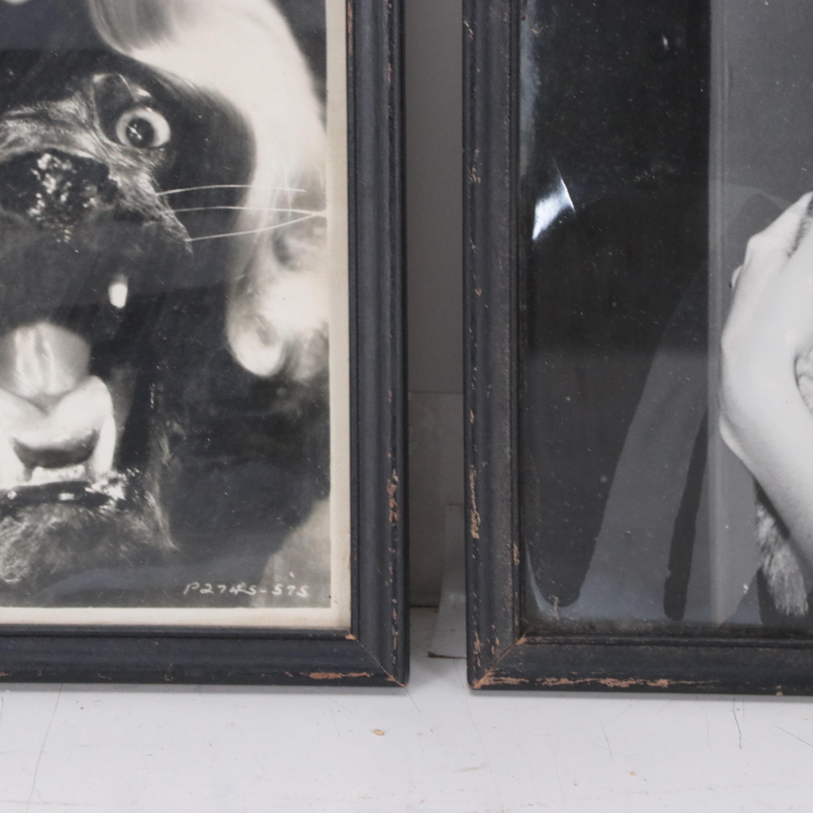 Silver Gelatin Prints of Celebrity Portraits Including Nanette Fabray