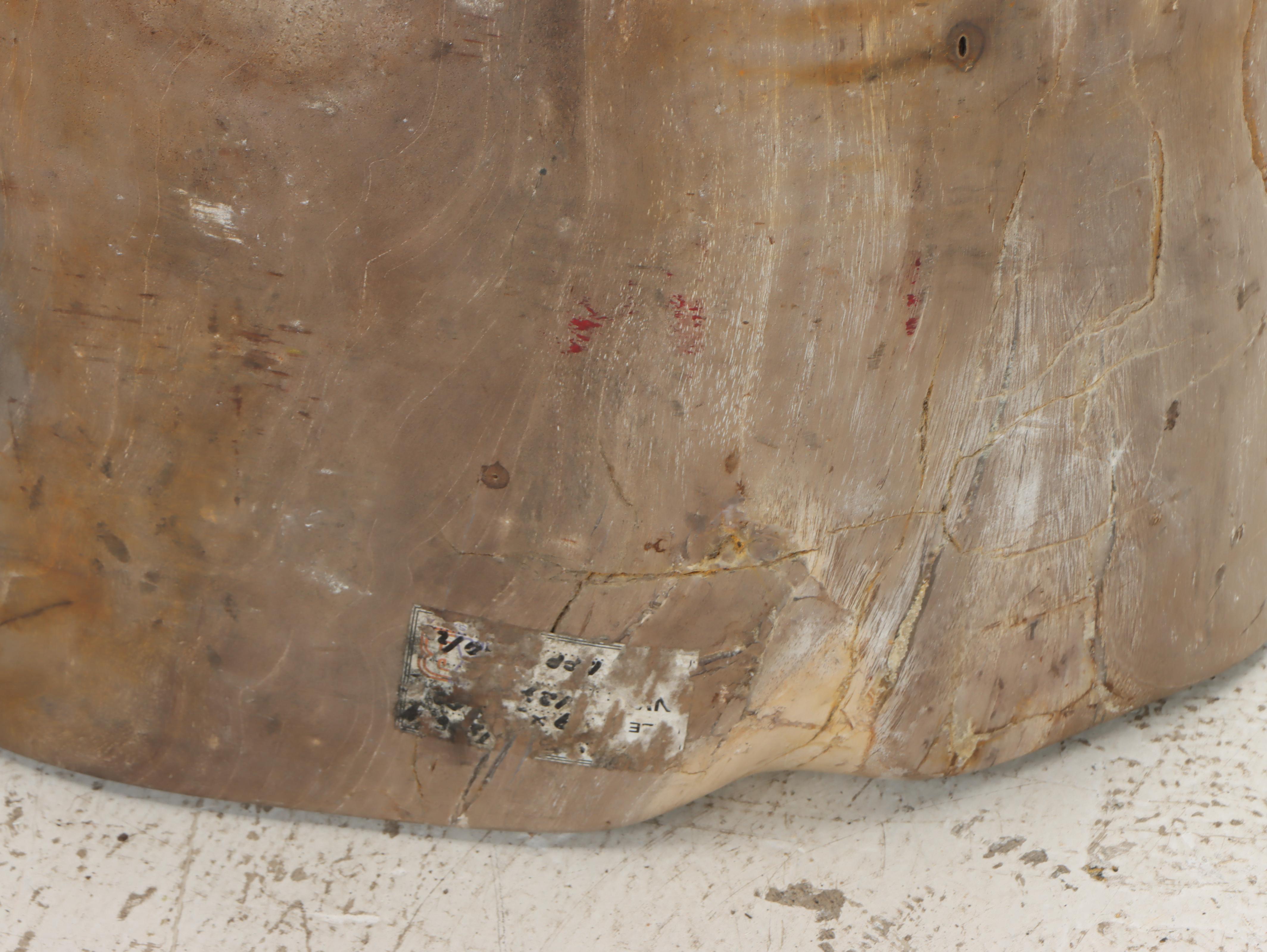Tall Petrified Wood Specimen