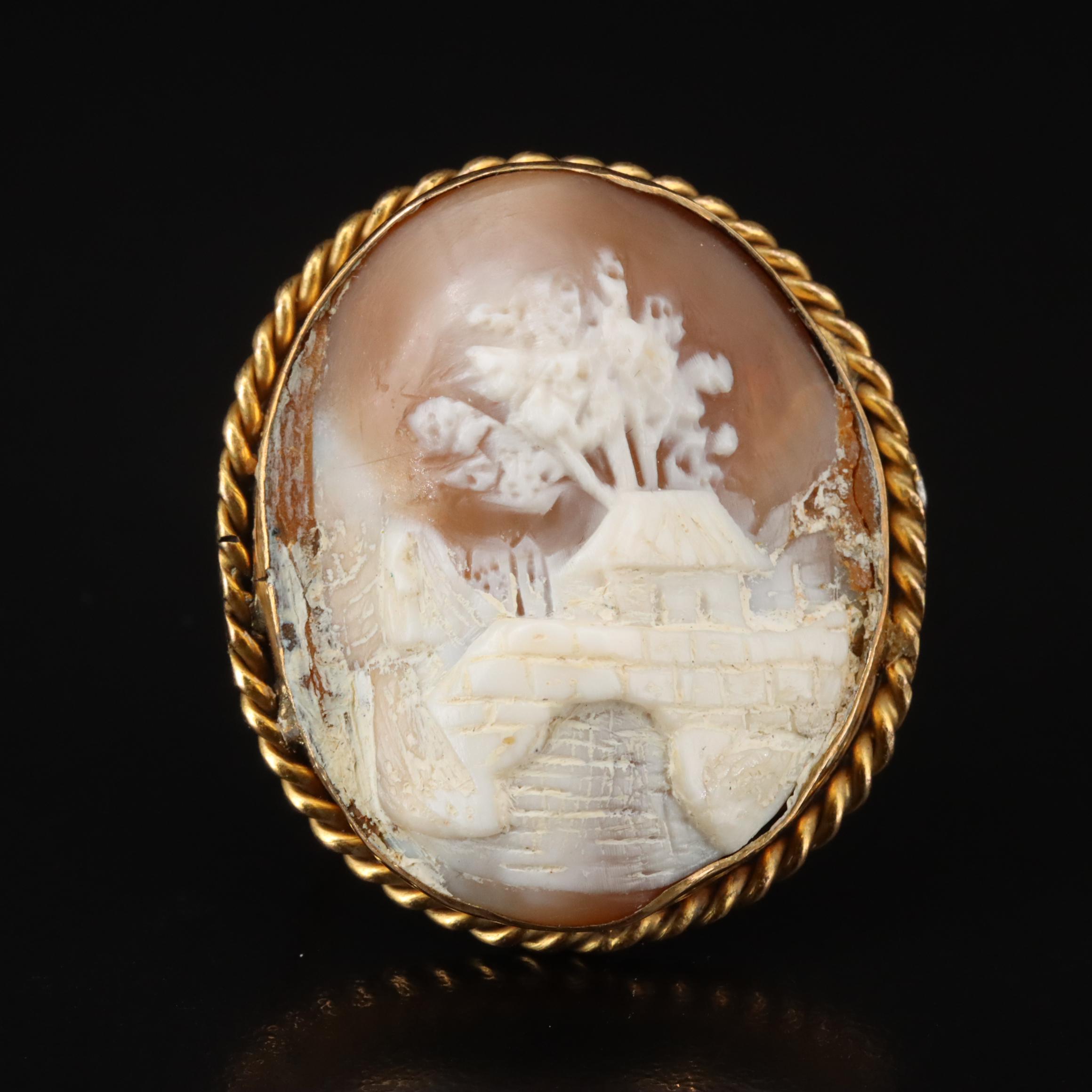 Vintage Shell Cameo Brooch