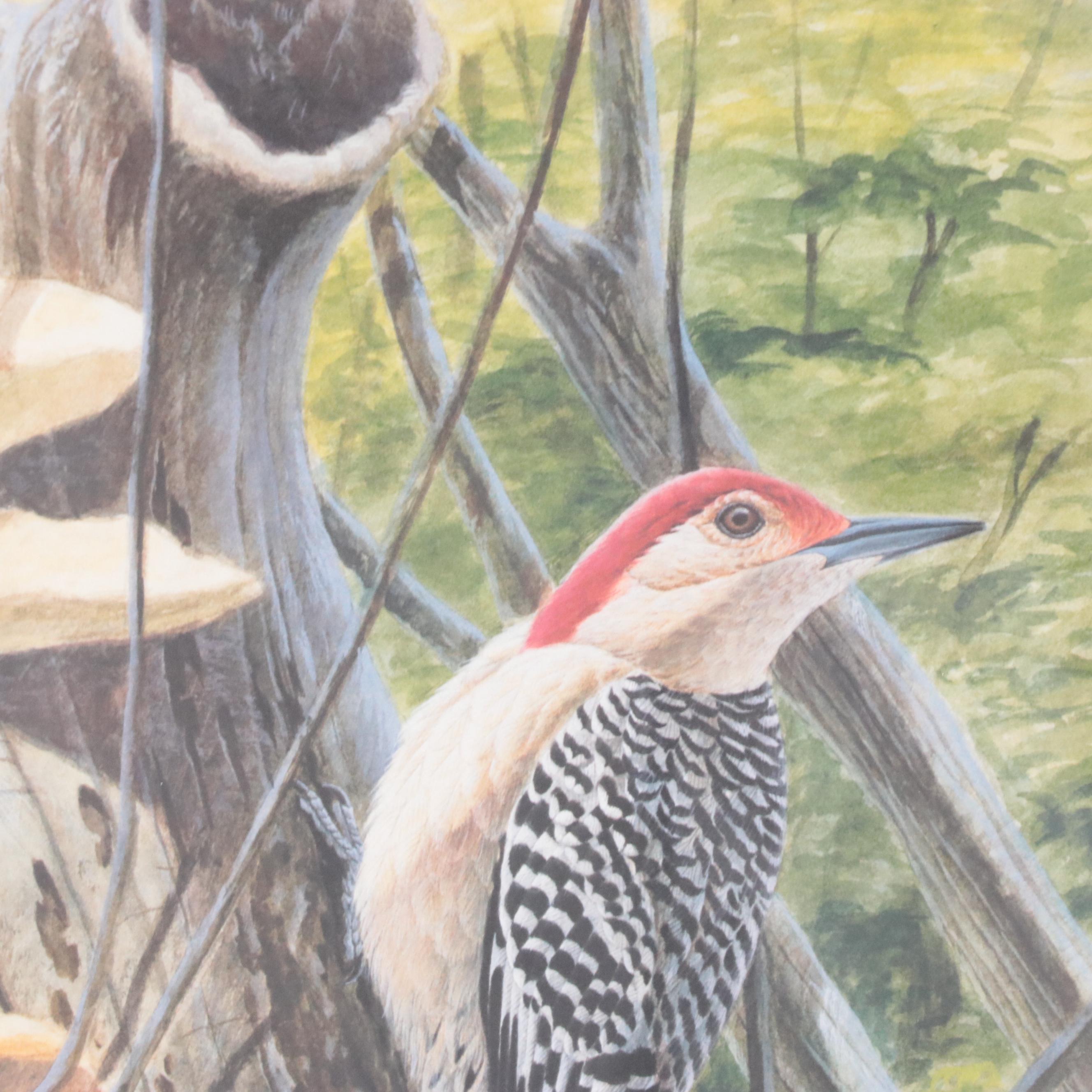 John A. Ruthven Offset Lithograph "Red-bellied Woodpecker"