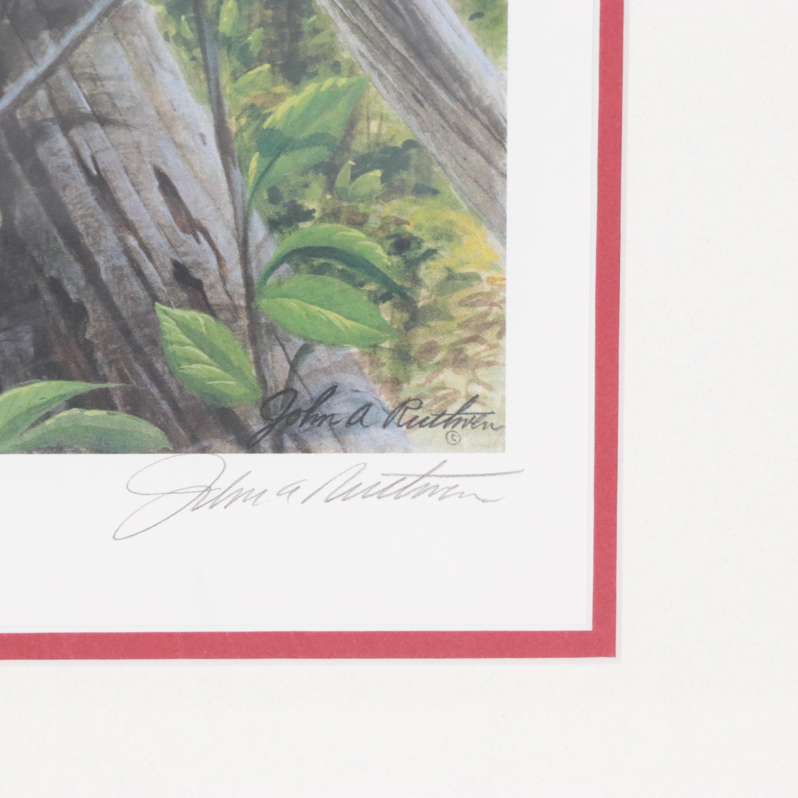 John A. Ruthven Offset Lithograph "Red-bellied Woodpecker"