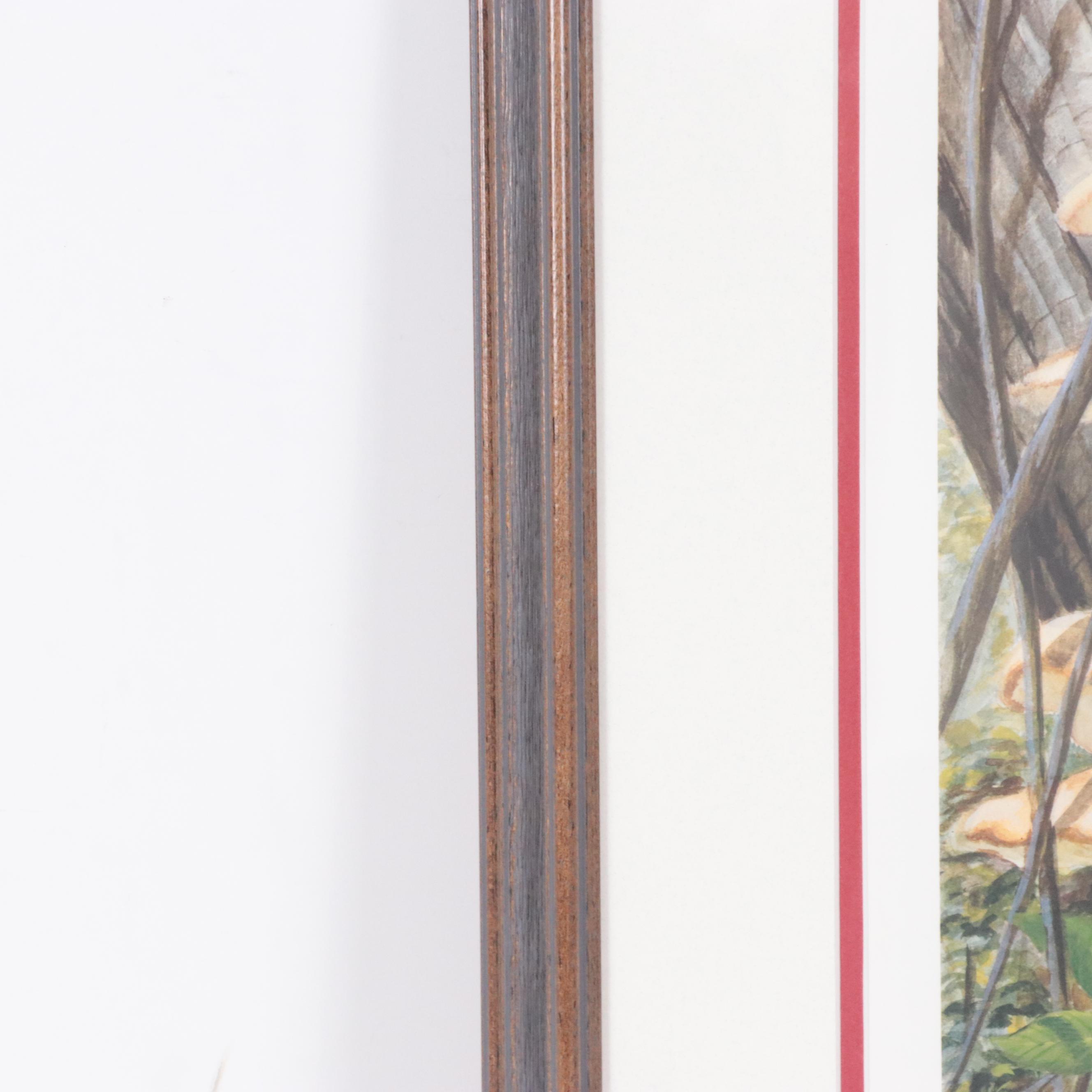 John A. Ruthven Offset Lithograph "Red-bellied Woodpecker"