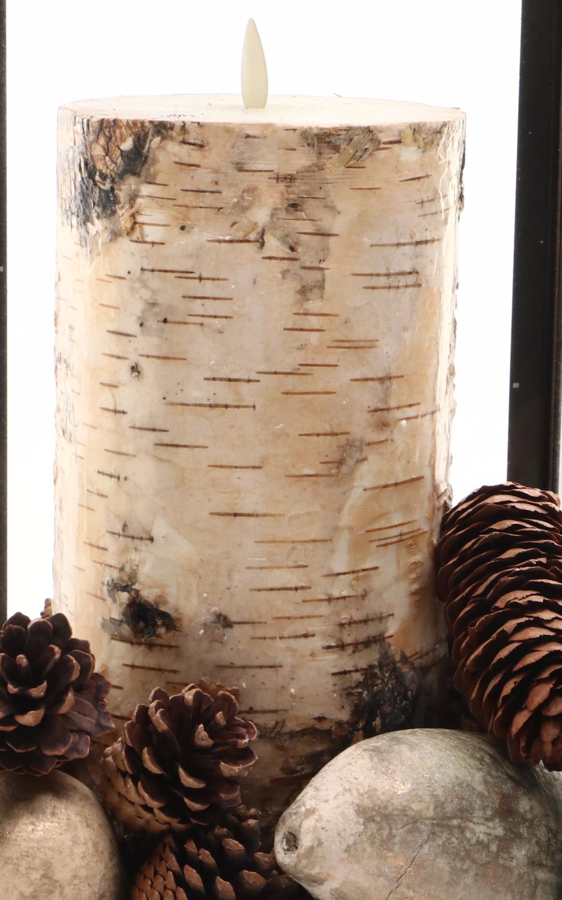 Pottery Barn Candle Lantern with Birch Wrapped LED Candle, Pine Cones, More