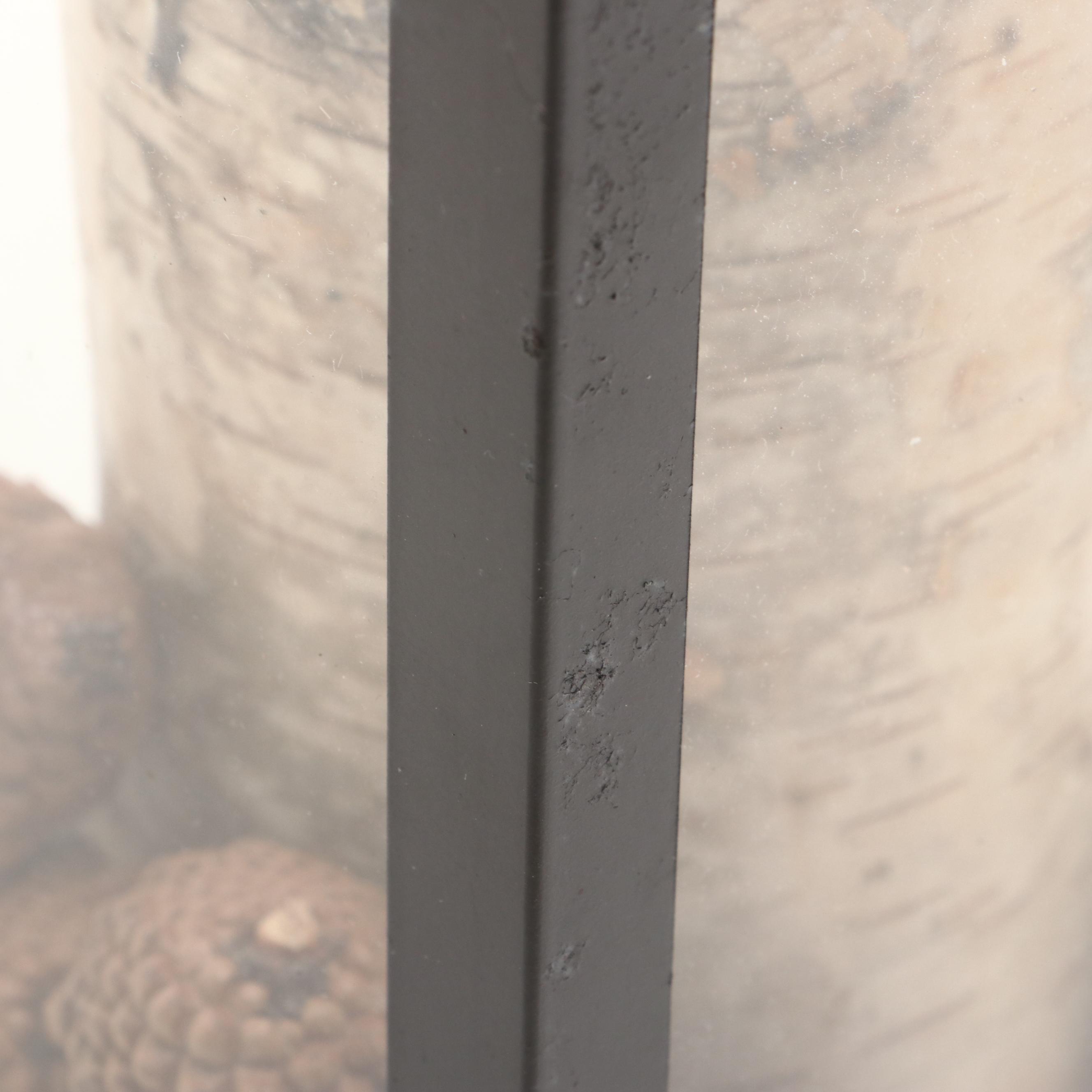 Pottery Barn Candle Lantern with Birch Wrapped LED Candle, Pine Cones, More