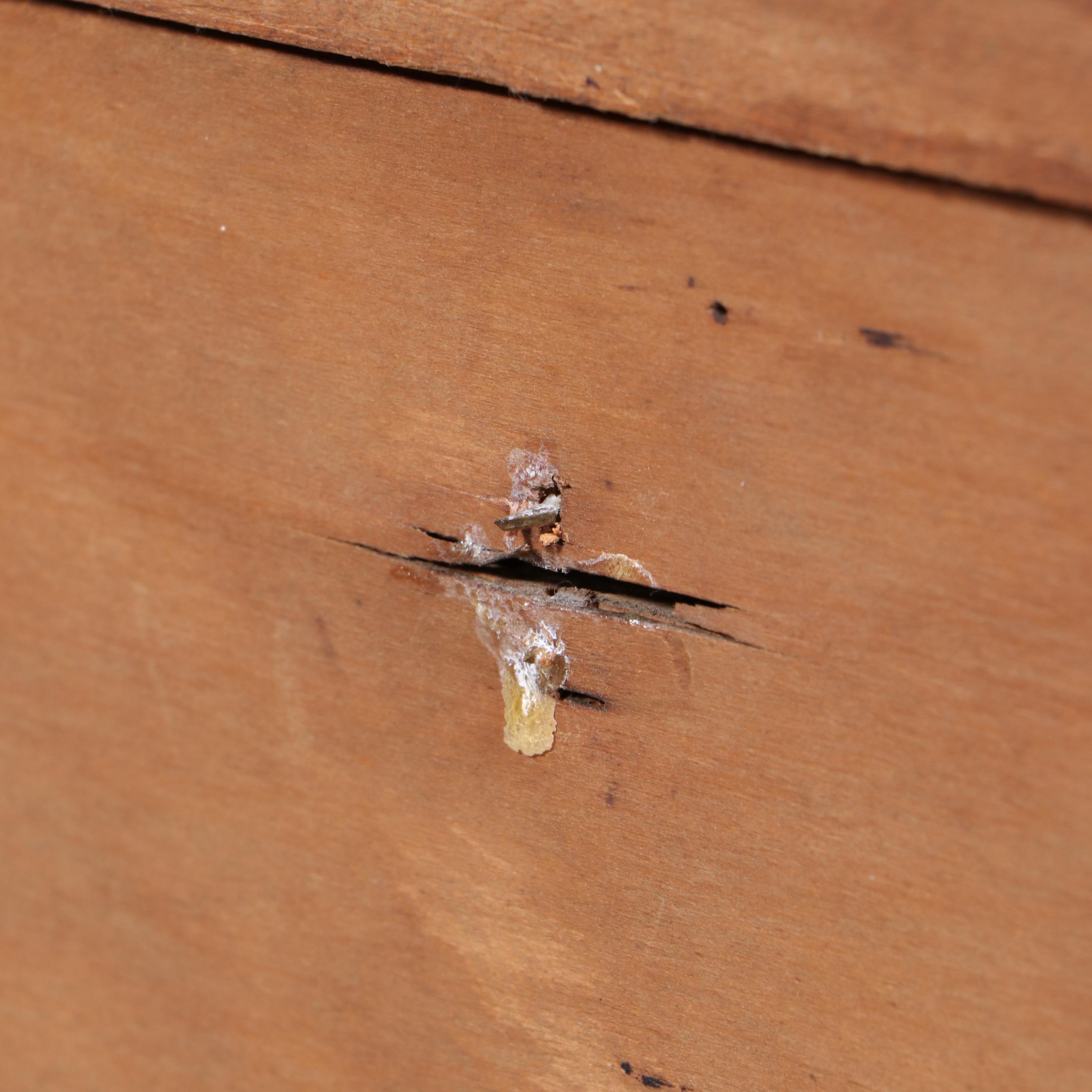 Weis Five-Tiered Oak Barrister's Bookcase with Base, 20th Century