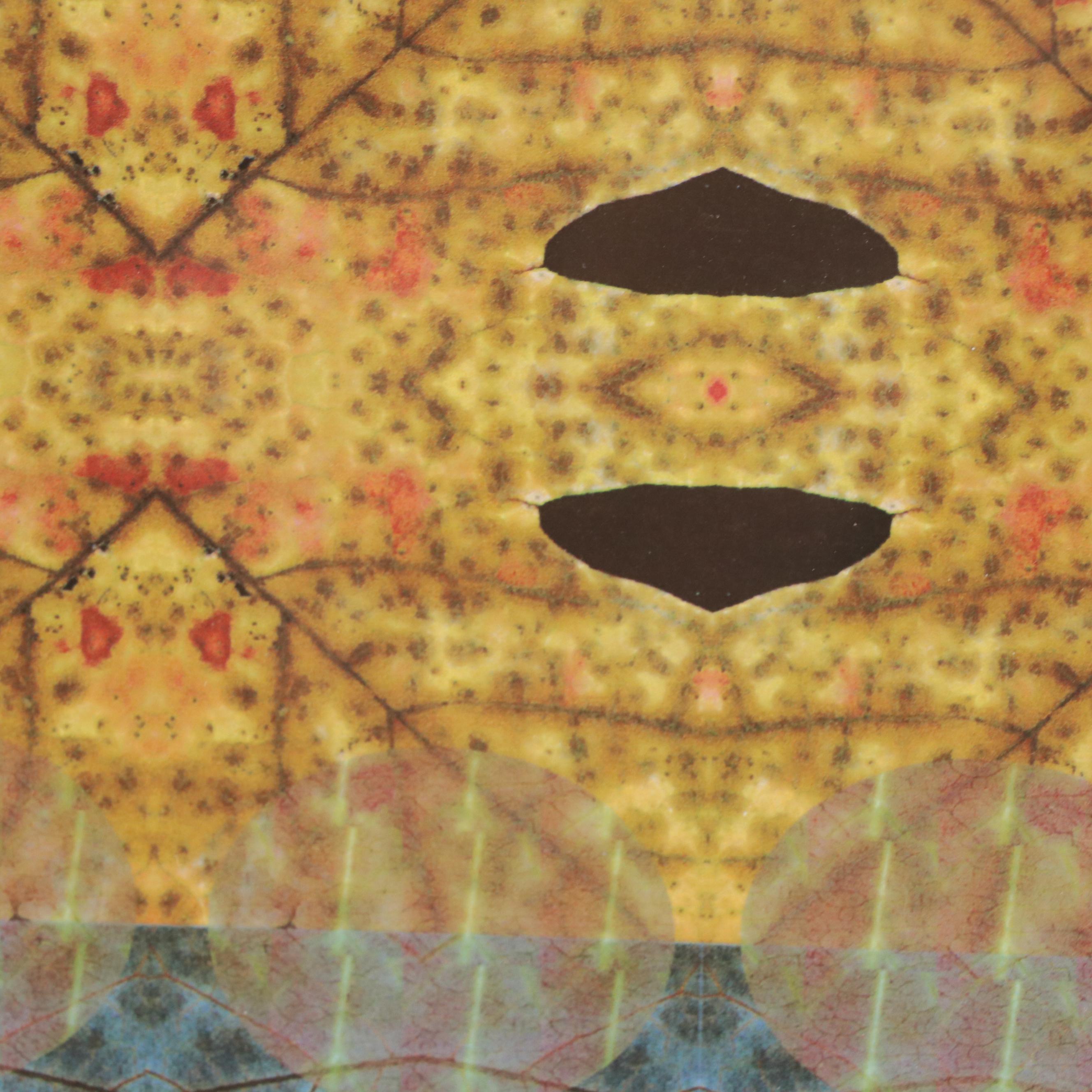 Digital Manipulated Photograph "NLC Maple," 2000