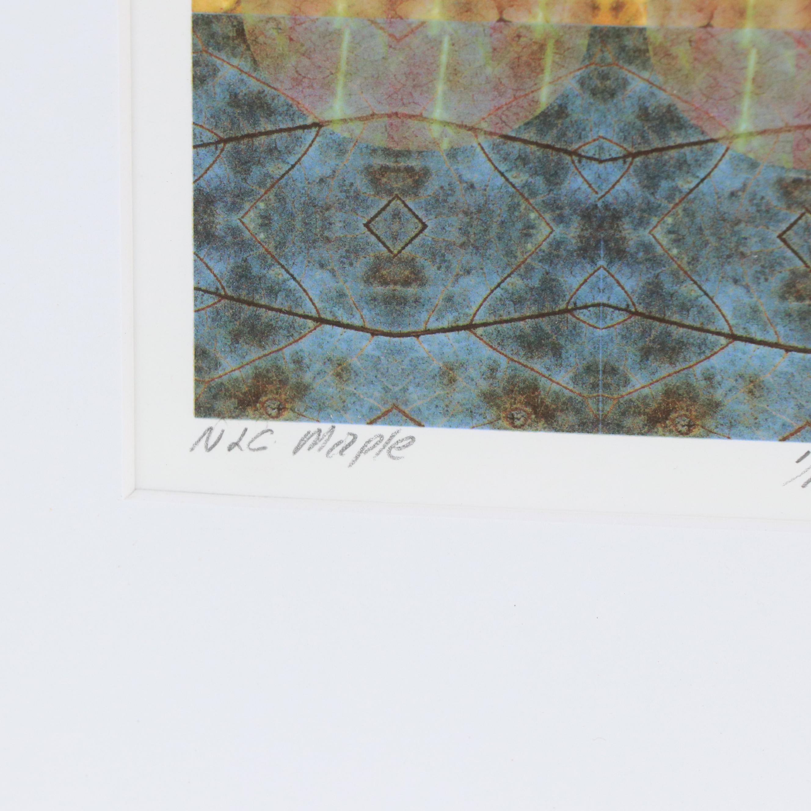 Digital Manipulated Photograph "NLC Maple," 2000