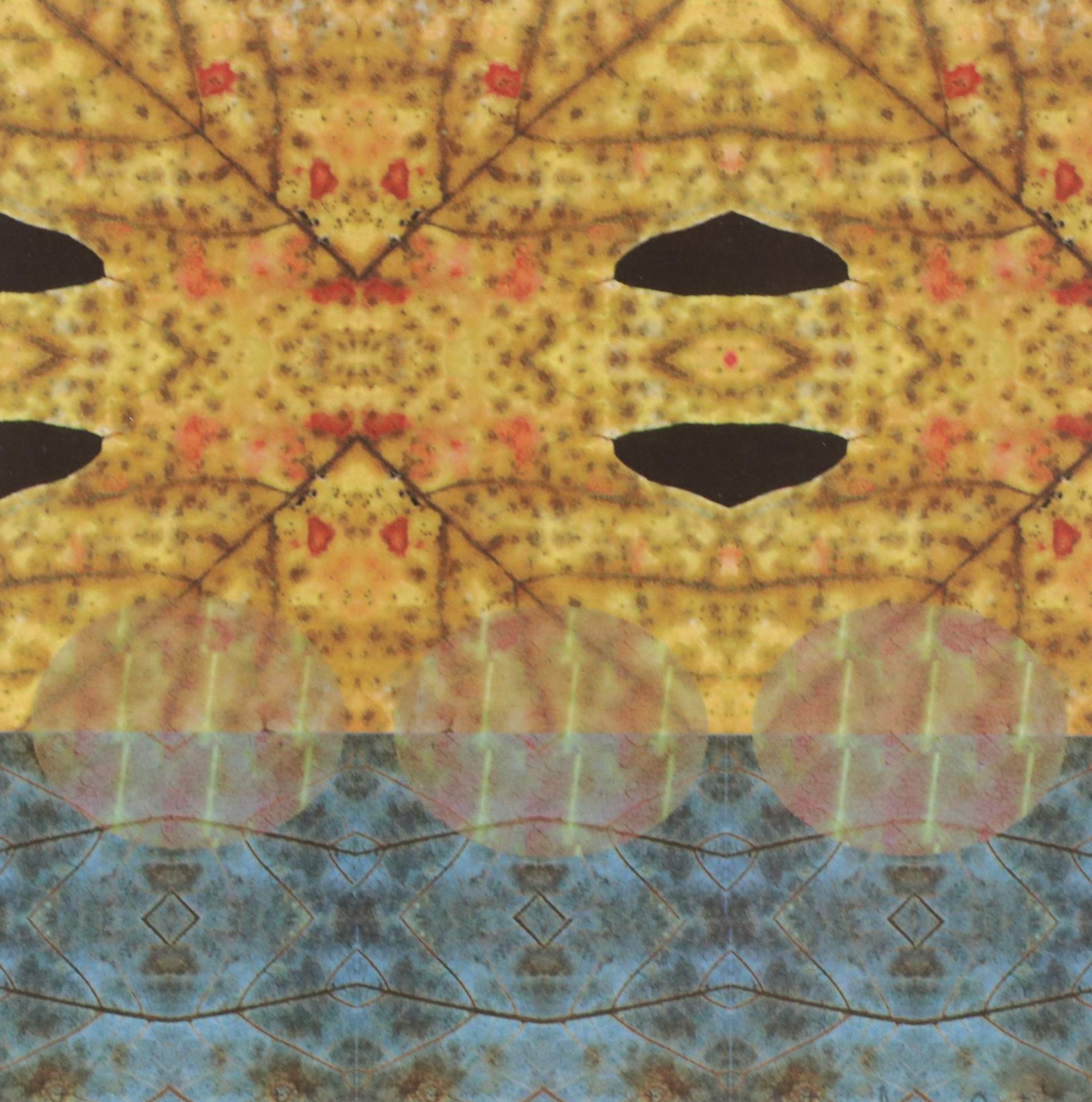 Digital Manipulated Photograph "NLC Maple," 2000