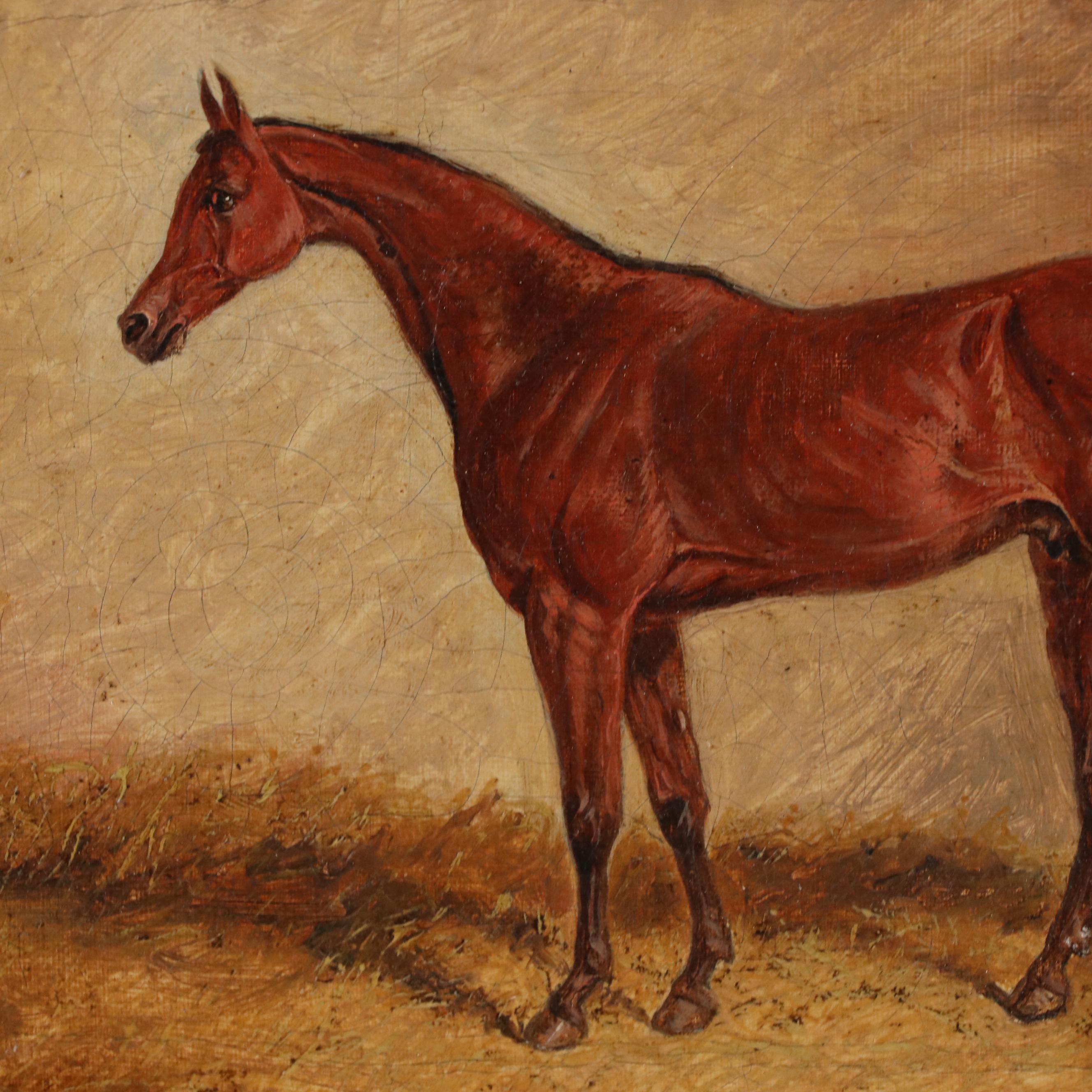 John Frederick Herring, Sr. Horse Portrait Oil Painting