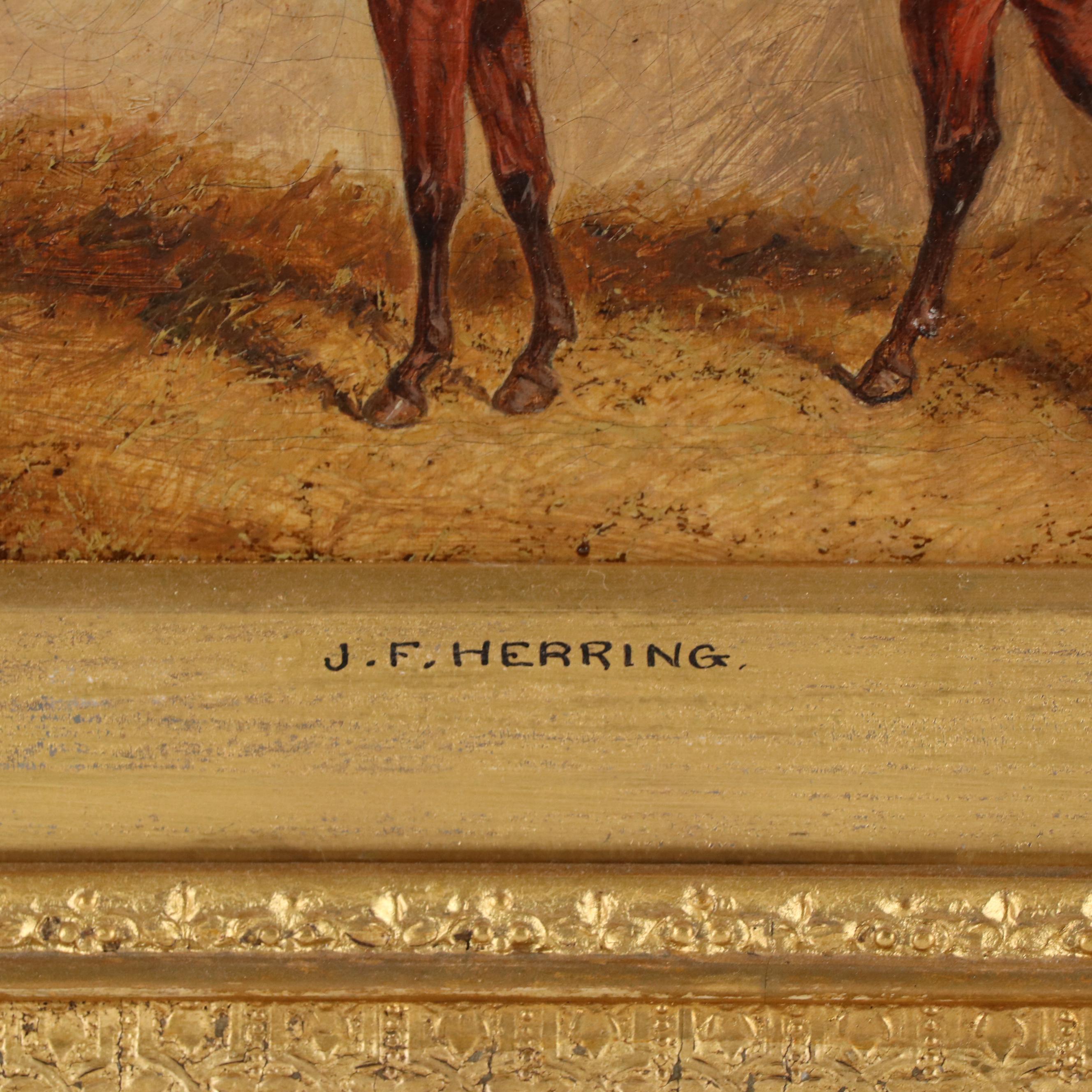 John Frederick Herring, Sr. Horse Portrait Oil Painting